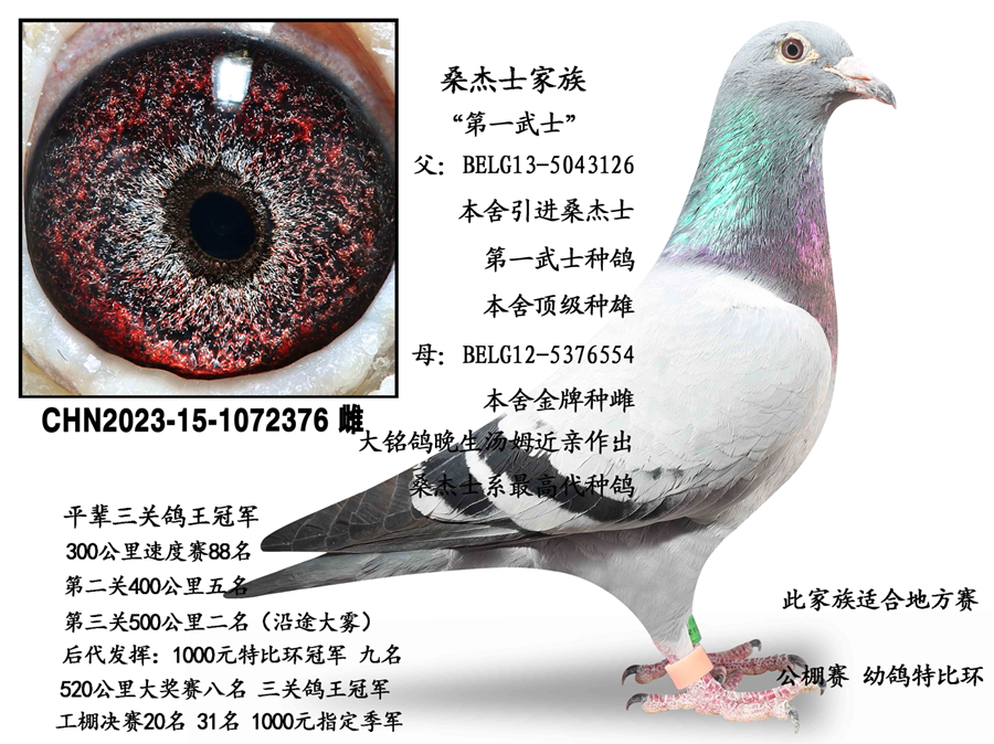 ɣ��ʿ��ʯ�ִ�