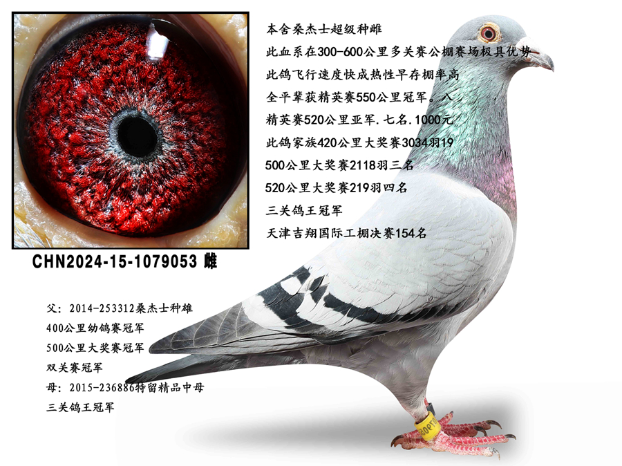 ɣ��ʿ�����ִ�