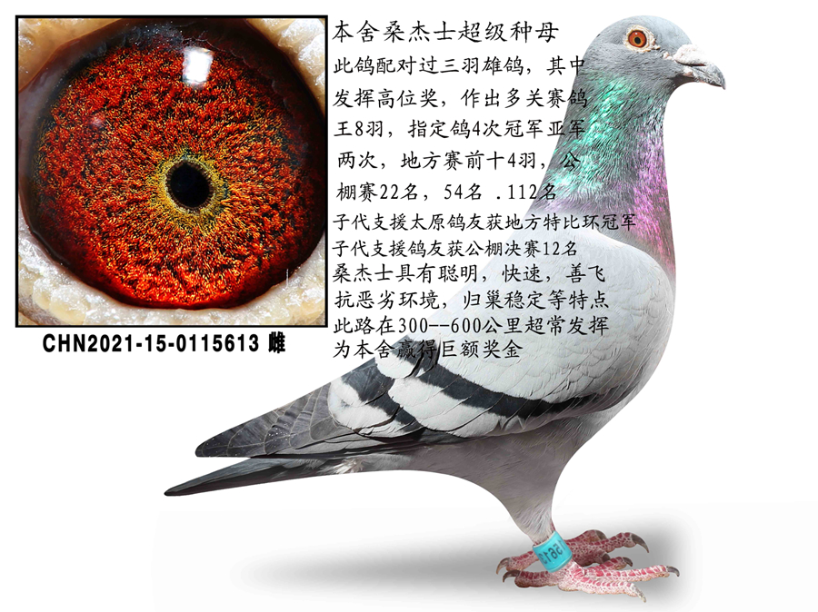 ɣ��ʿ�����ִ�