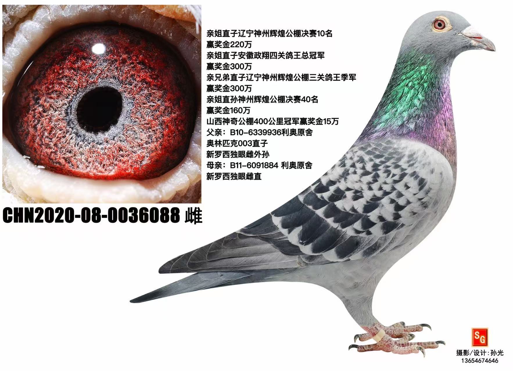 003ֱ��Ů