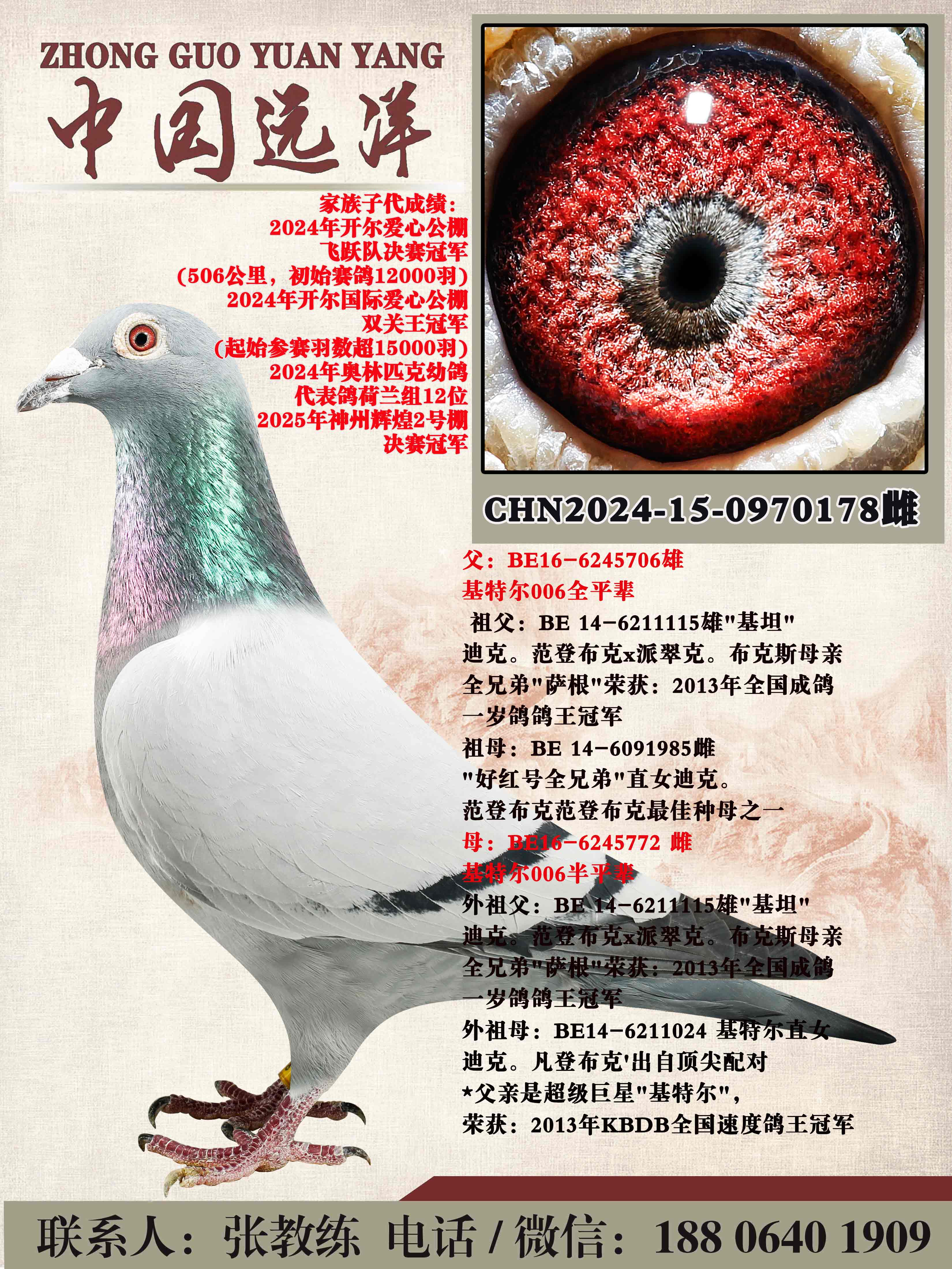 ���ض�006ȫƽ������