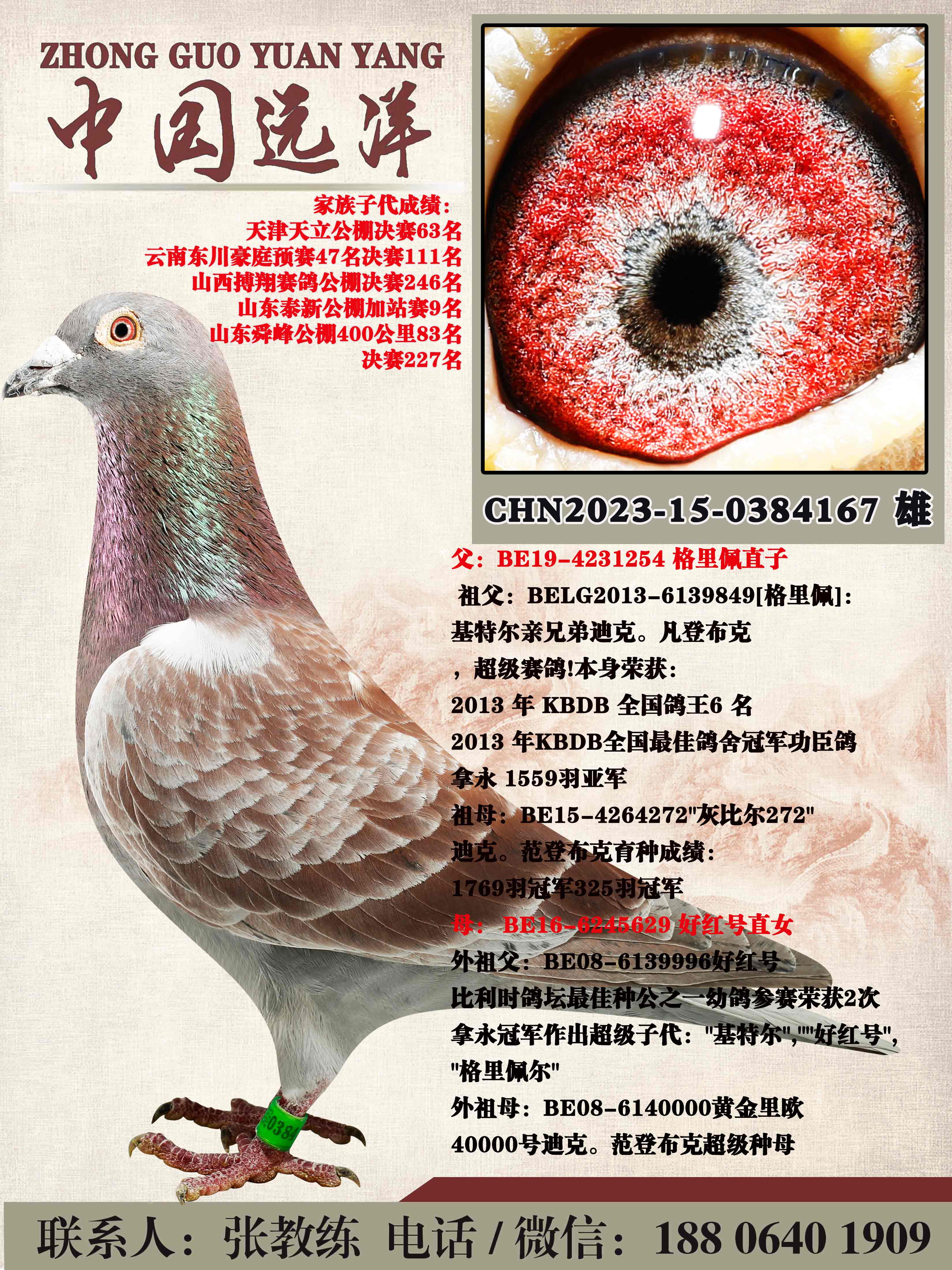 ������ֱ��x�ú��ֱŮ