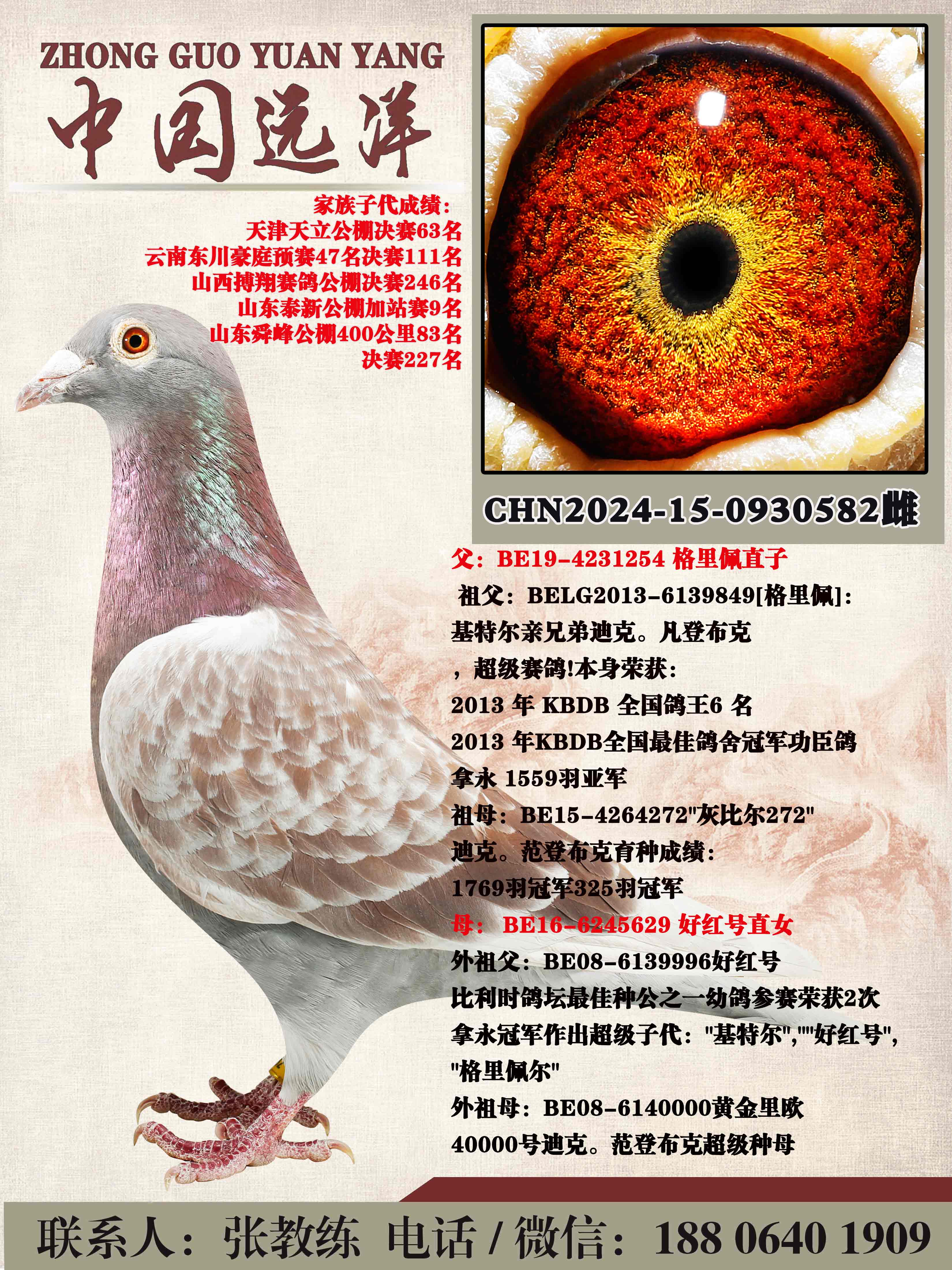 ������ֱ��x�ú��ֱŮ