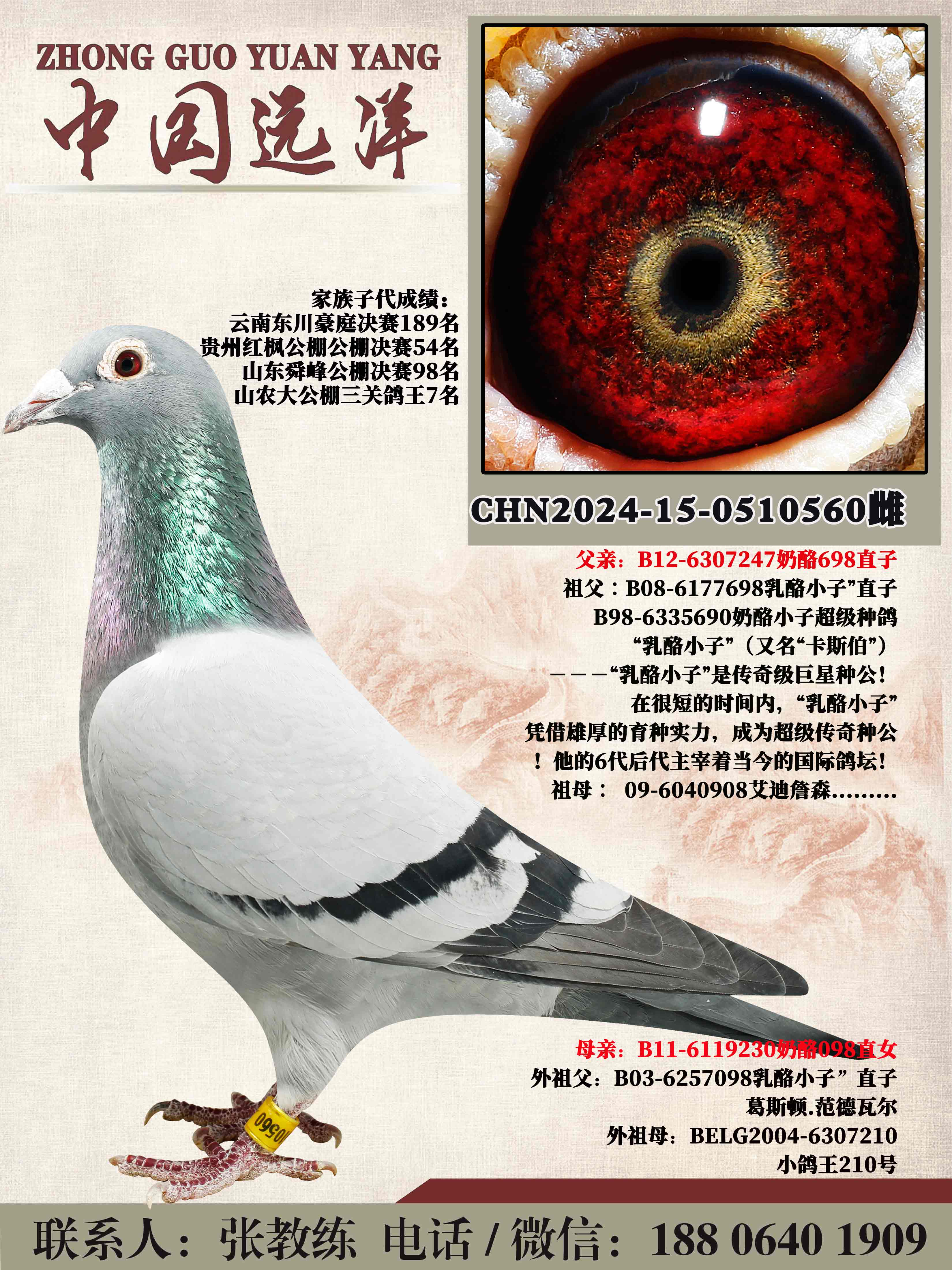 ����698ֱ��x����098ֱŮ