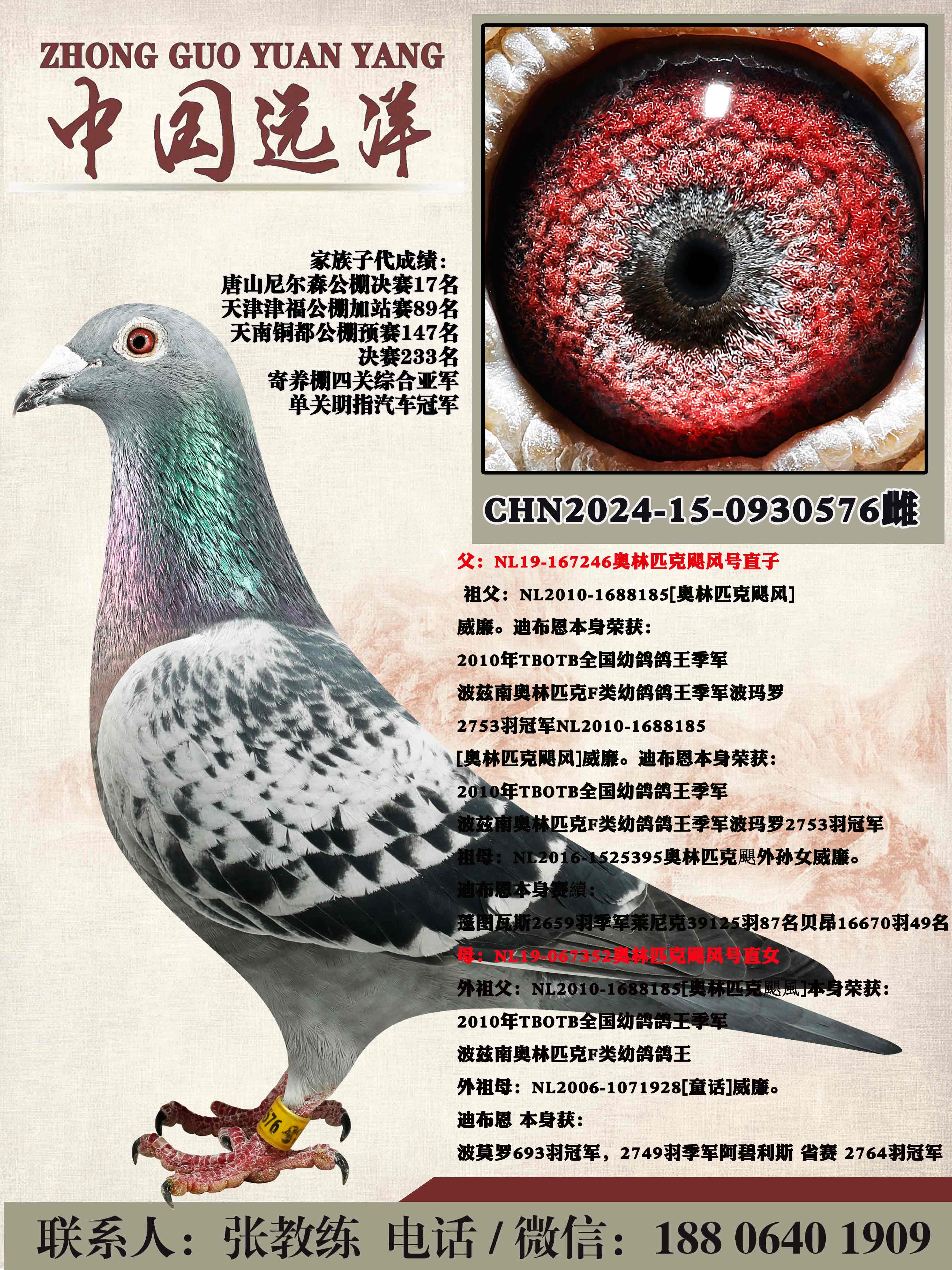 ����ƥ��쫷��ֱ��x����ƥ��쫷��ֱŮ