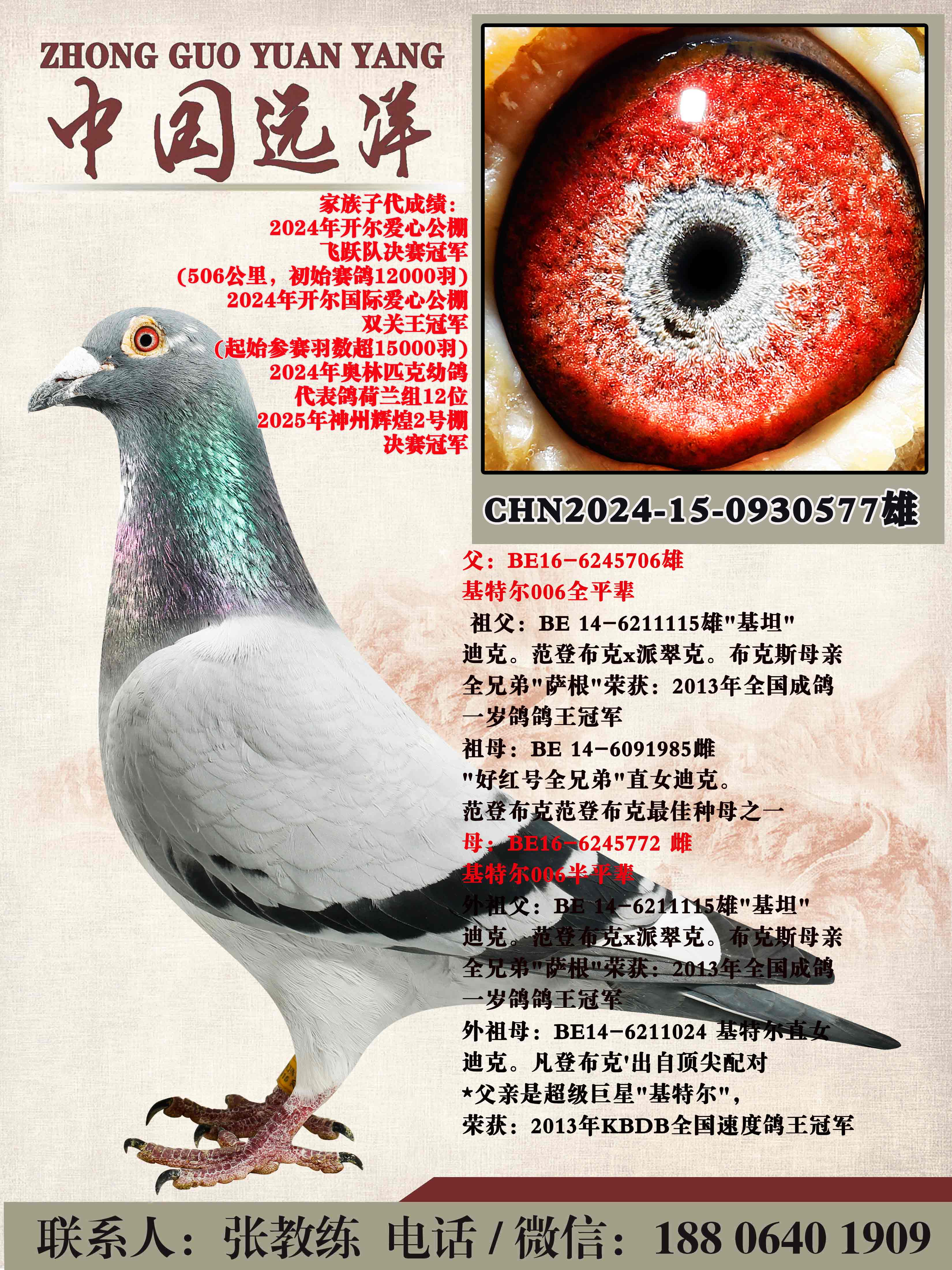 ���ض�006ȫƽ������