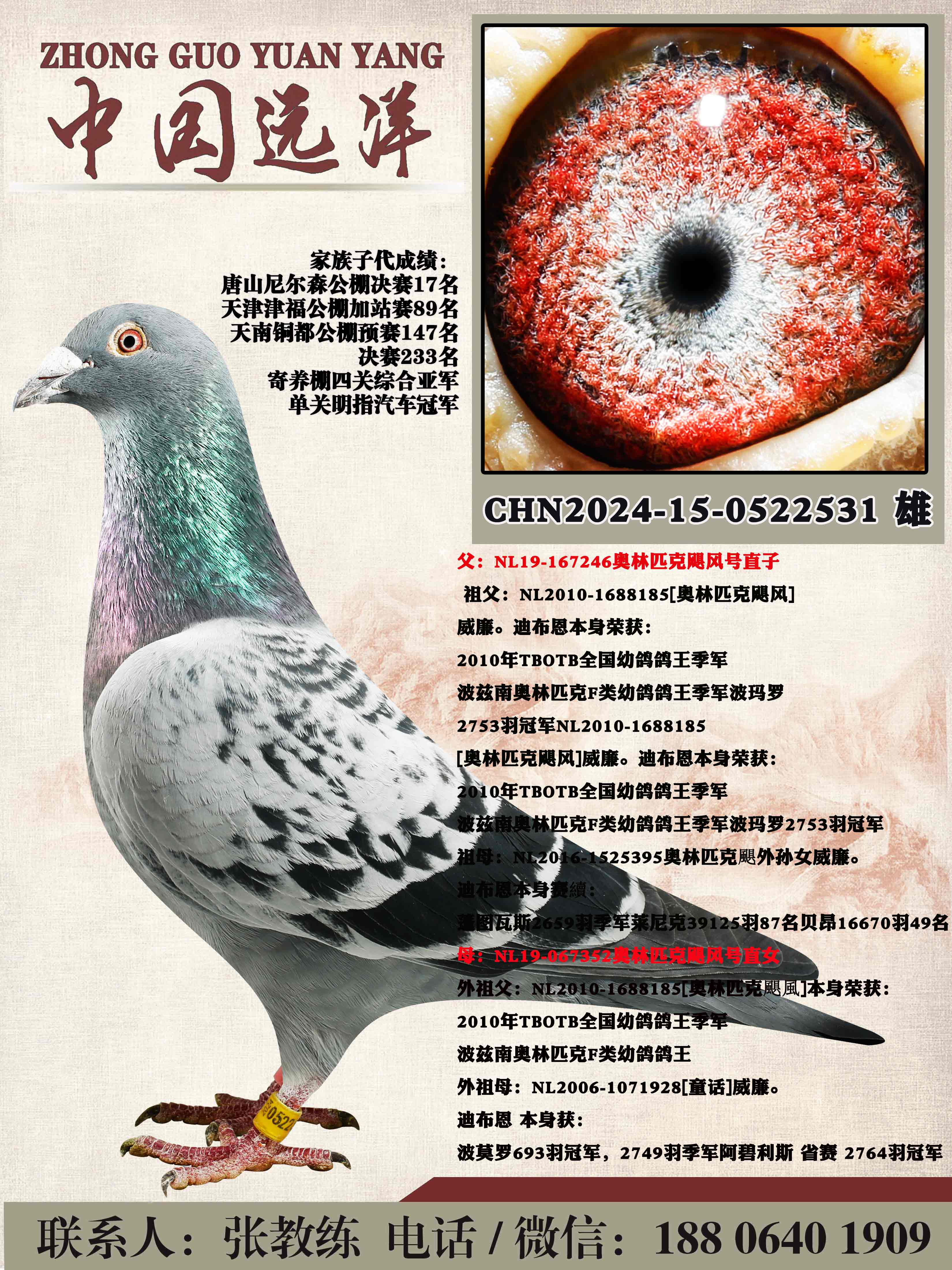 �״�600һֻ��������