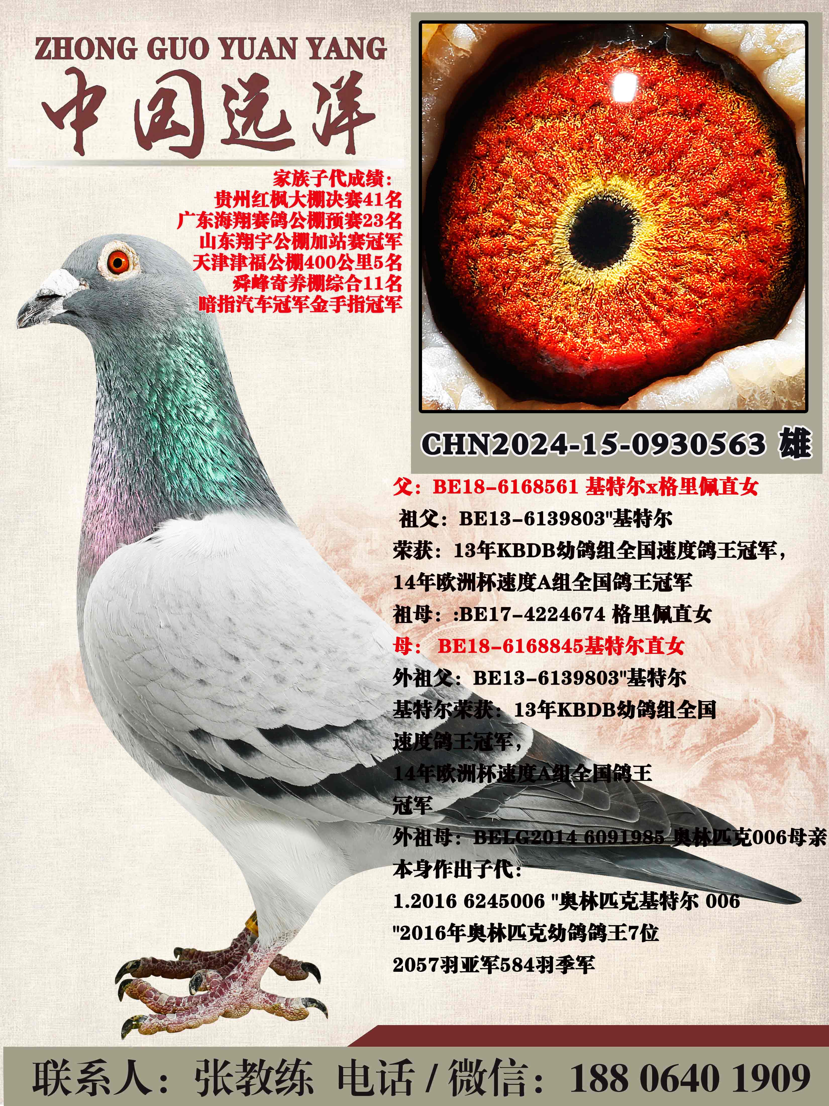 ���ض�ֱ��x���ض�ֱŮ