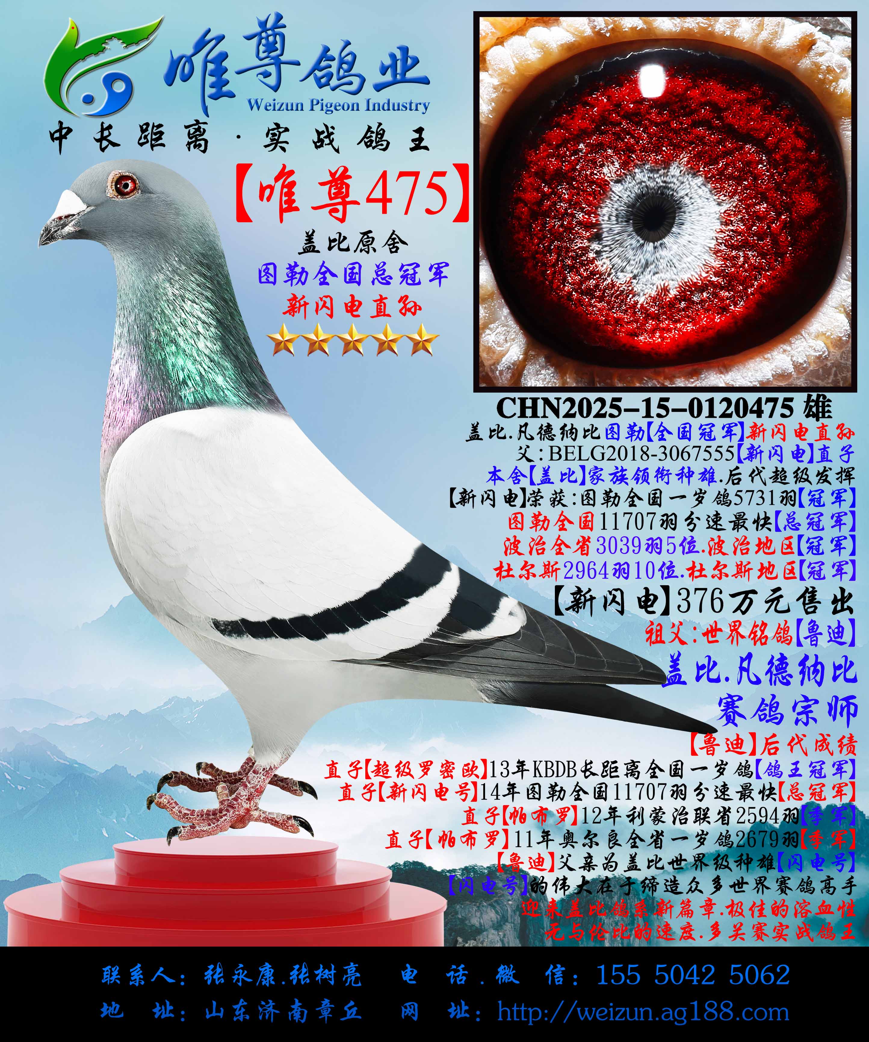 ��������475��