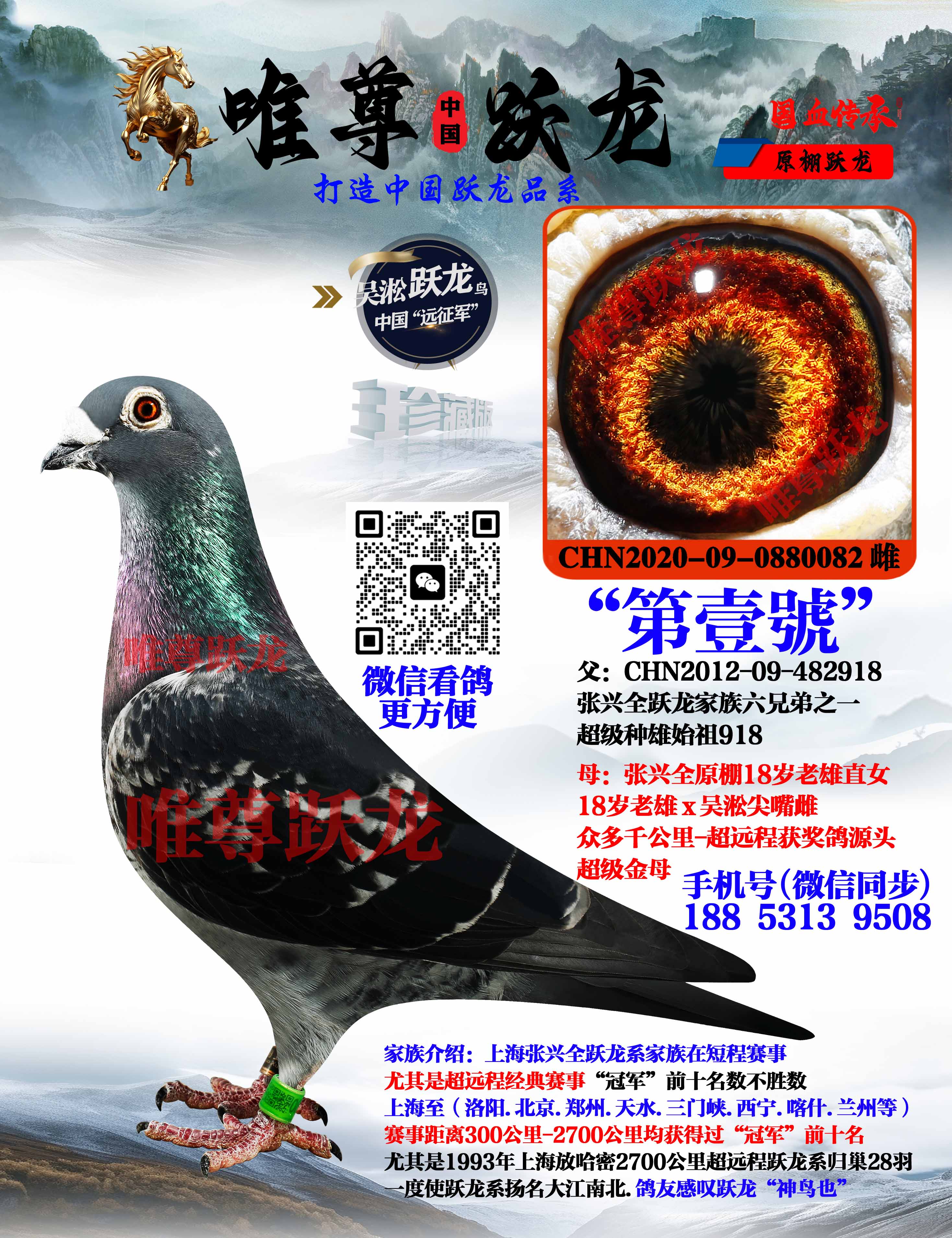 Ψ��Ծ������918����ֱŮ����Ҽ̖��