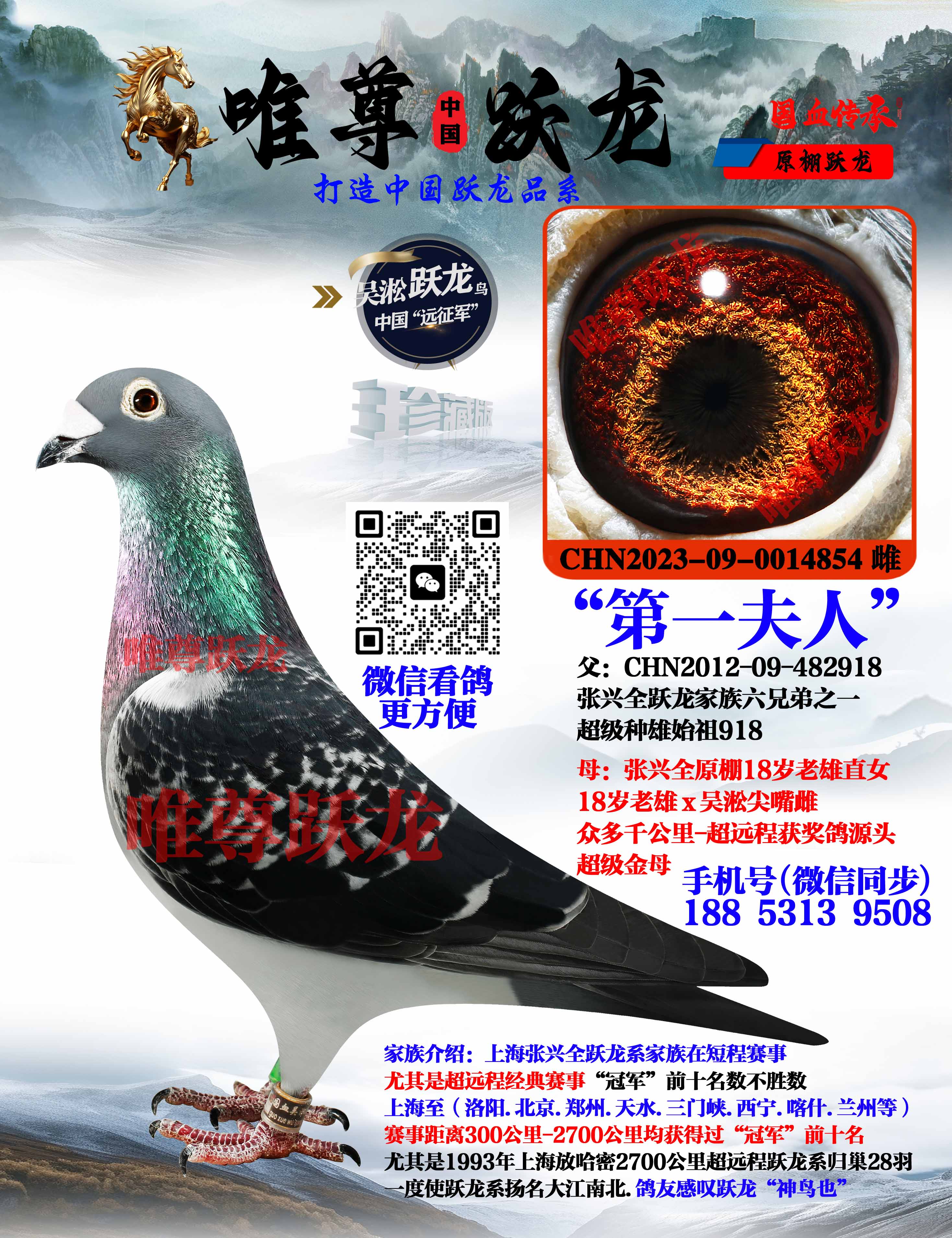 Ψ��Ծ������918����ֱŮ����һ���ˡ�