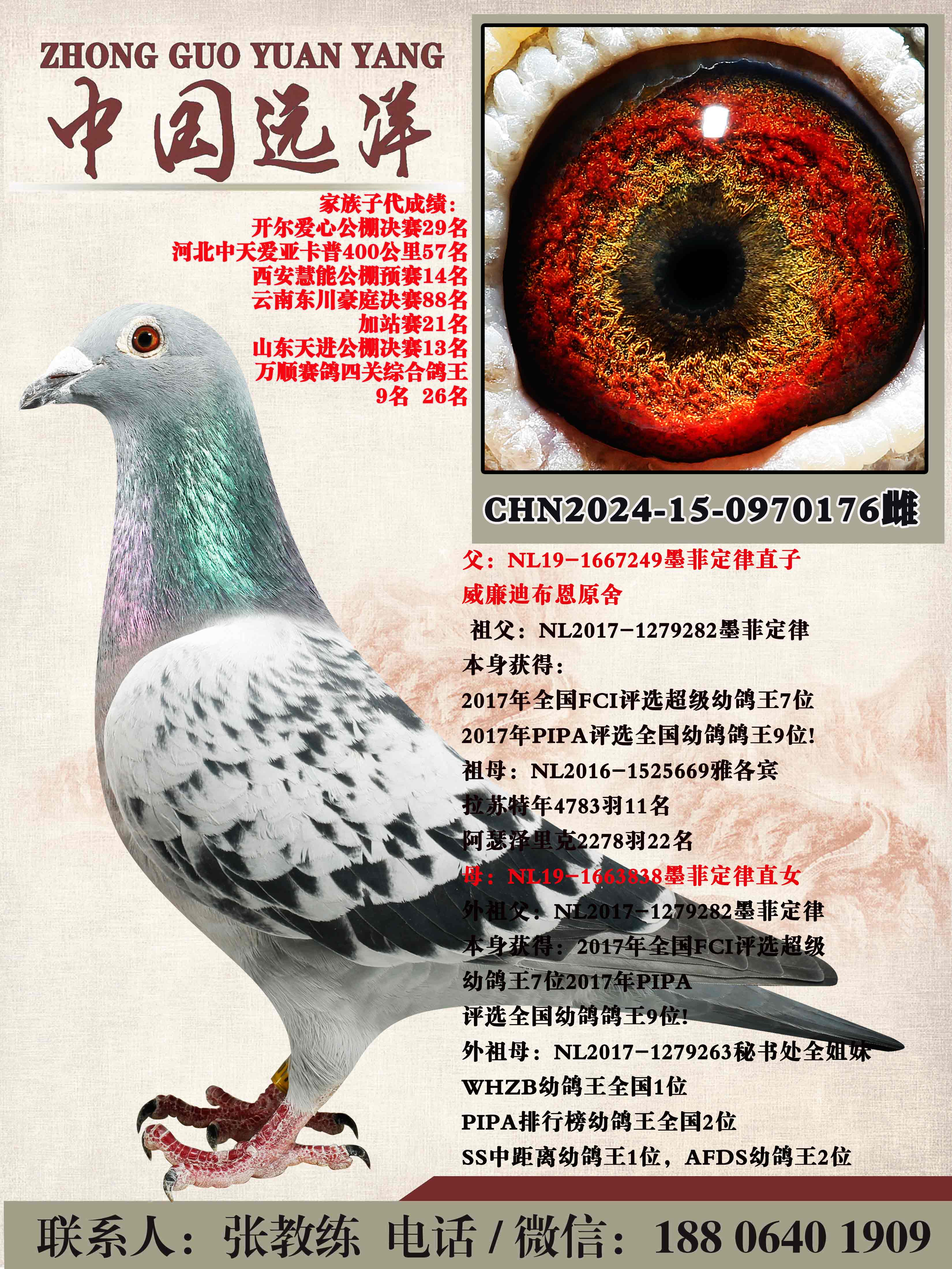 ī�ƶ���ֱ��xī�ƶ���ֱŮ