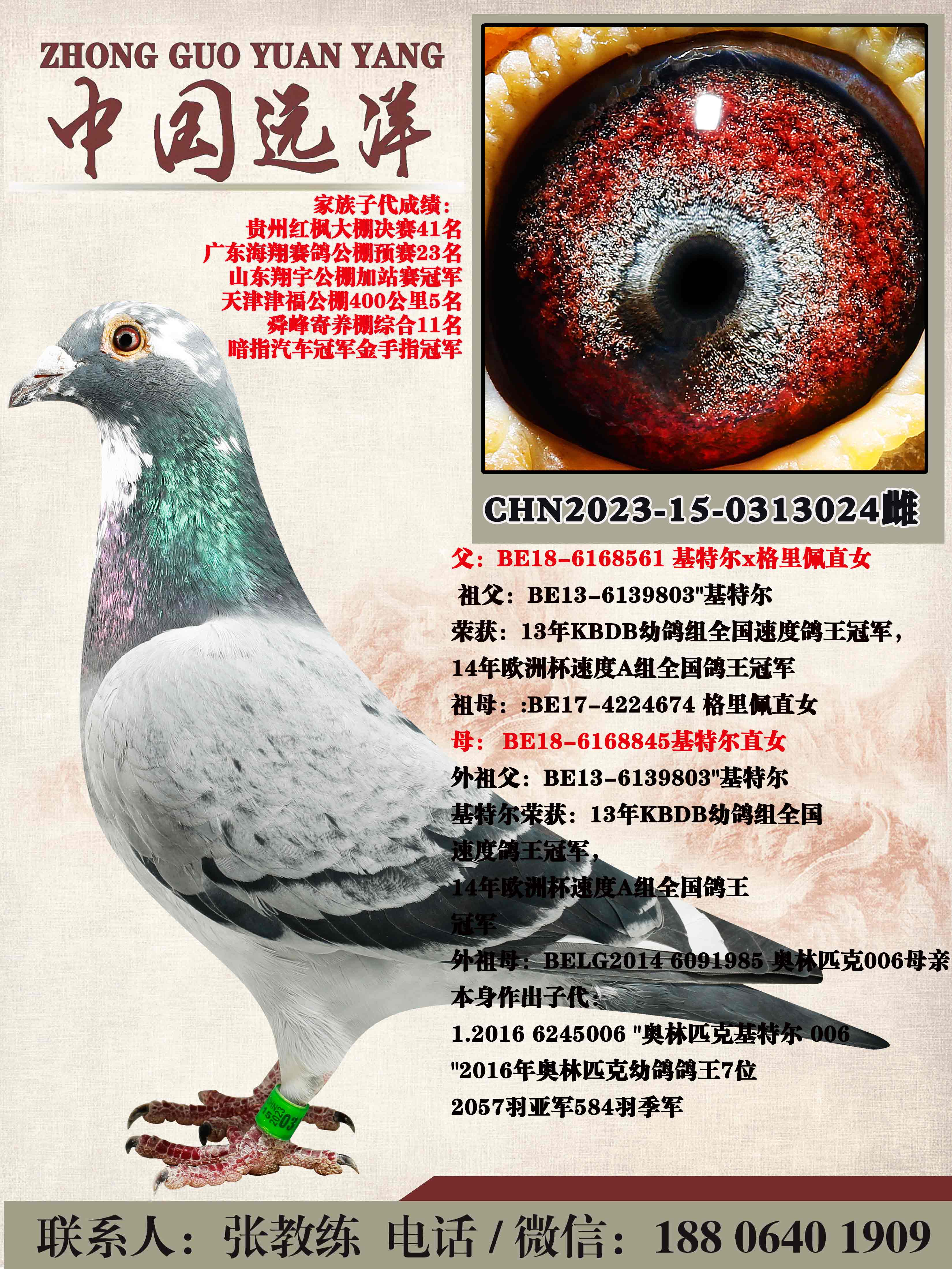 ���ض�ֱ��x���ض�ֱŮ