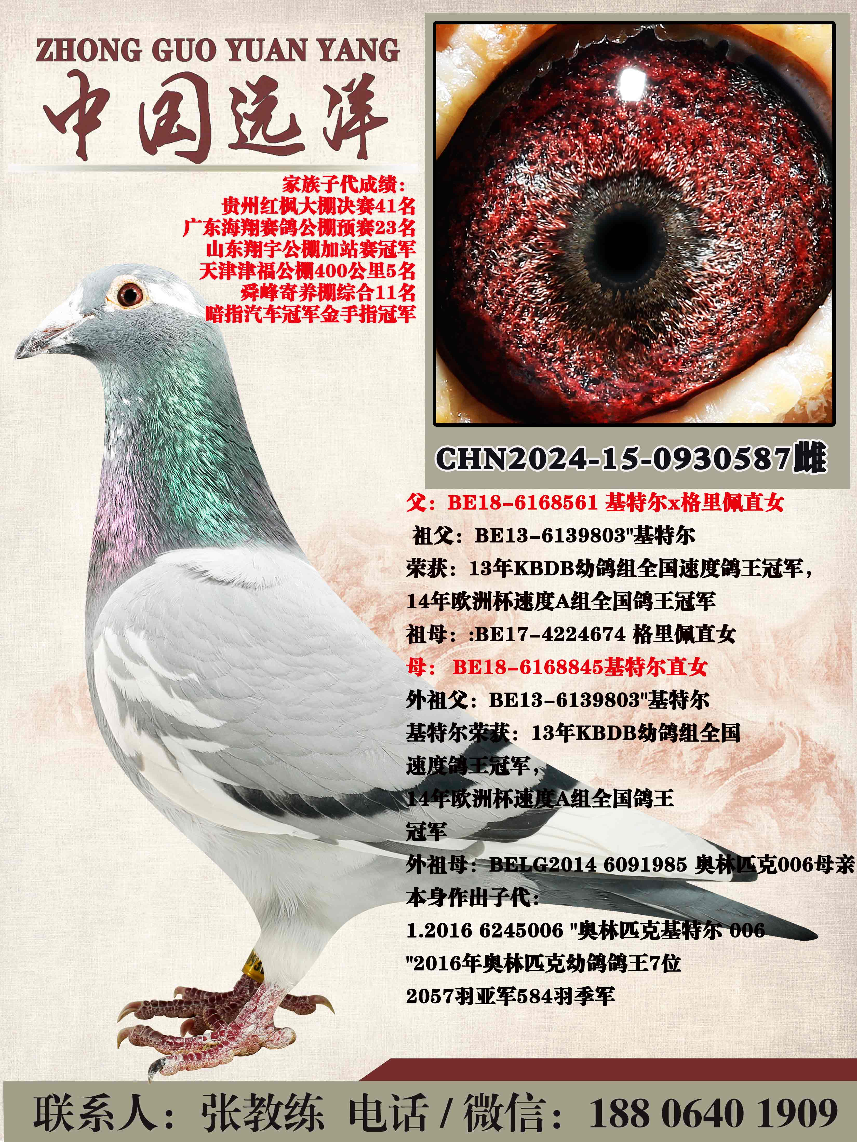 ���ض�ֱ��x���ض�ֱŮ