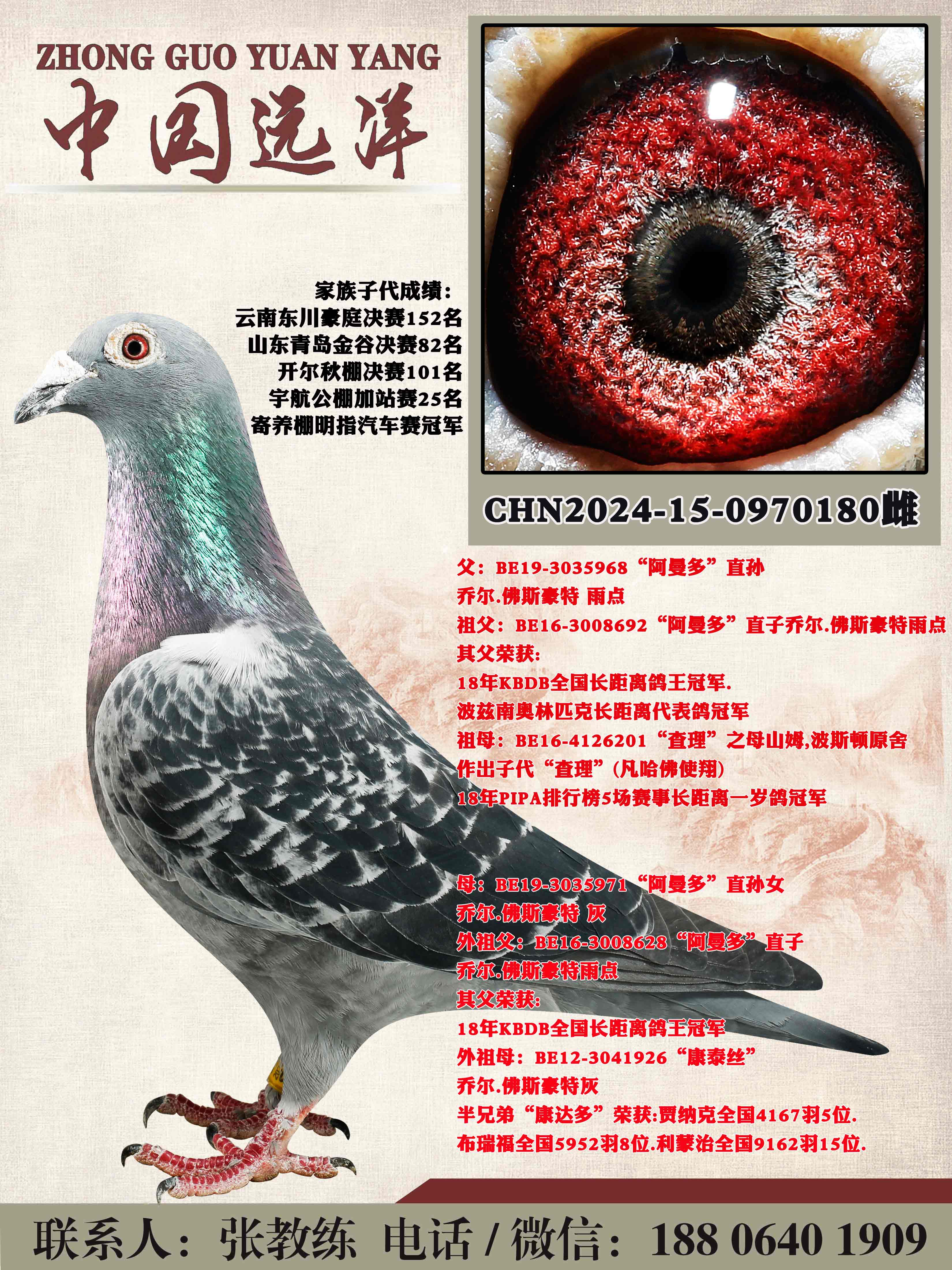 ������ֱ��x������ֱ��Ů