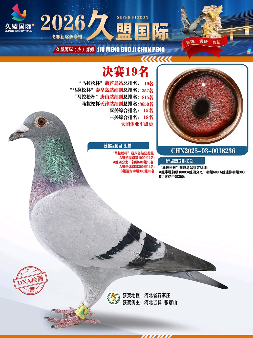 ɣ��ʿ ���˴���С�����19��