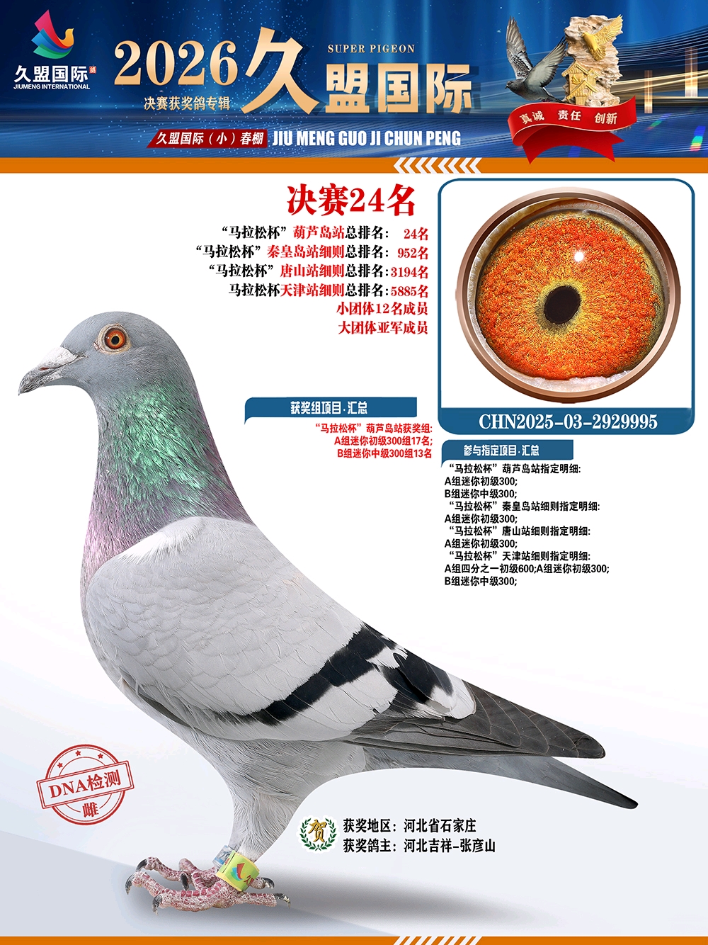 ɣ��ʿ ���˴���С�����24��