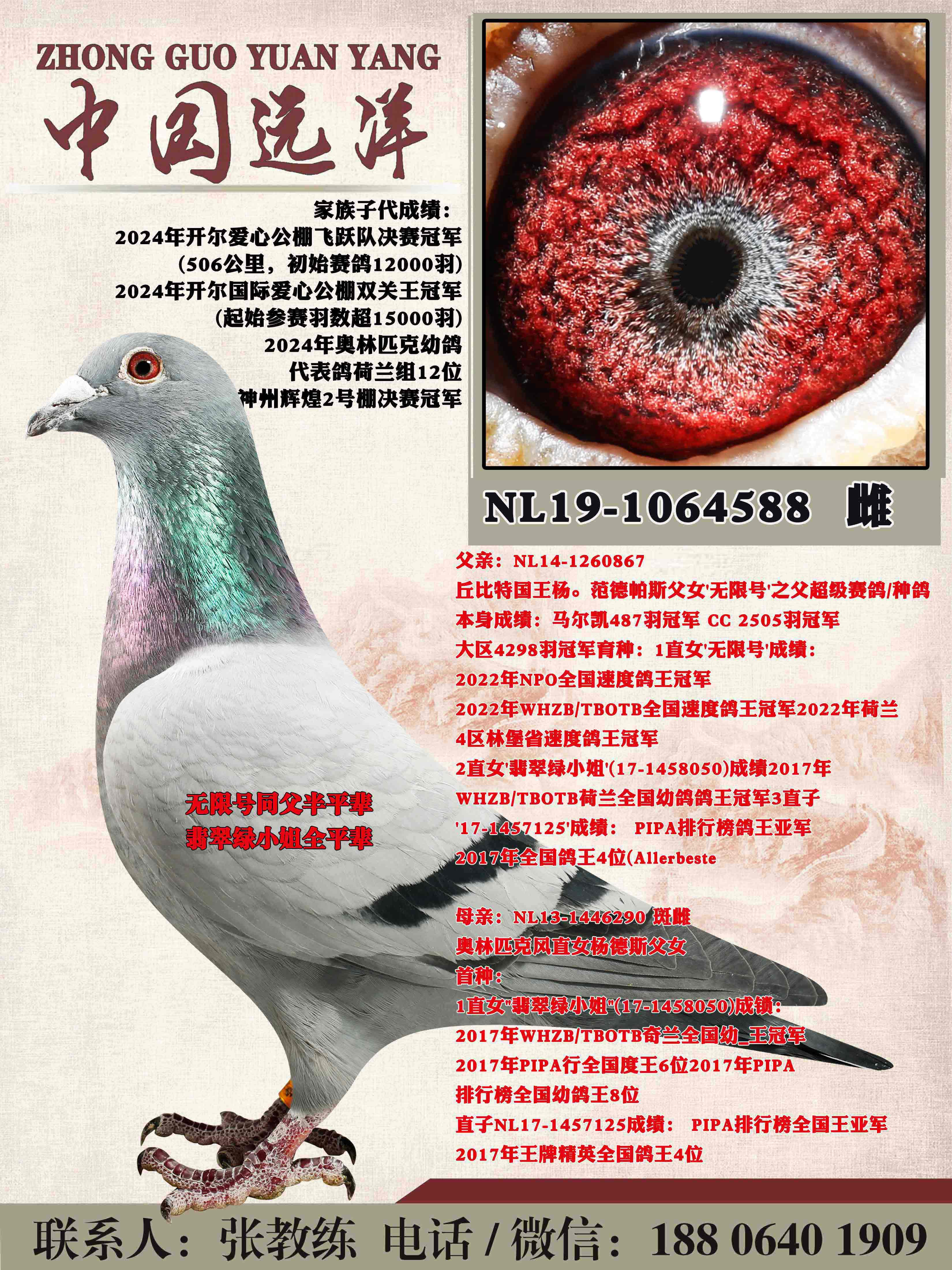 ���޺Ű�ƽ��