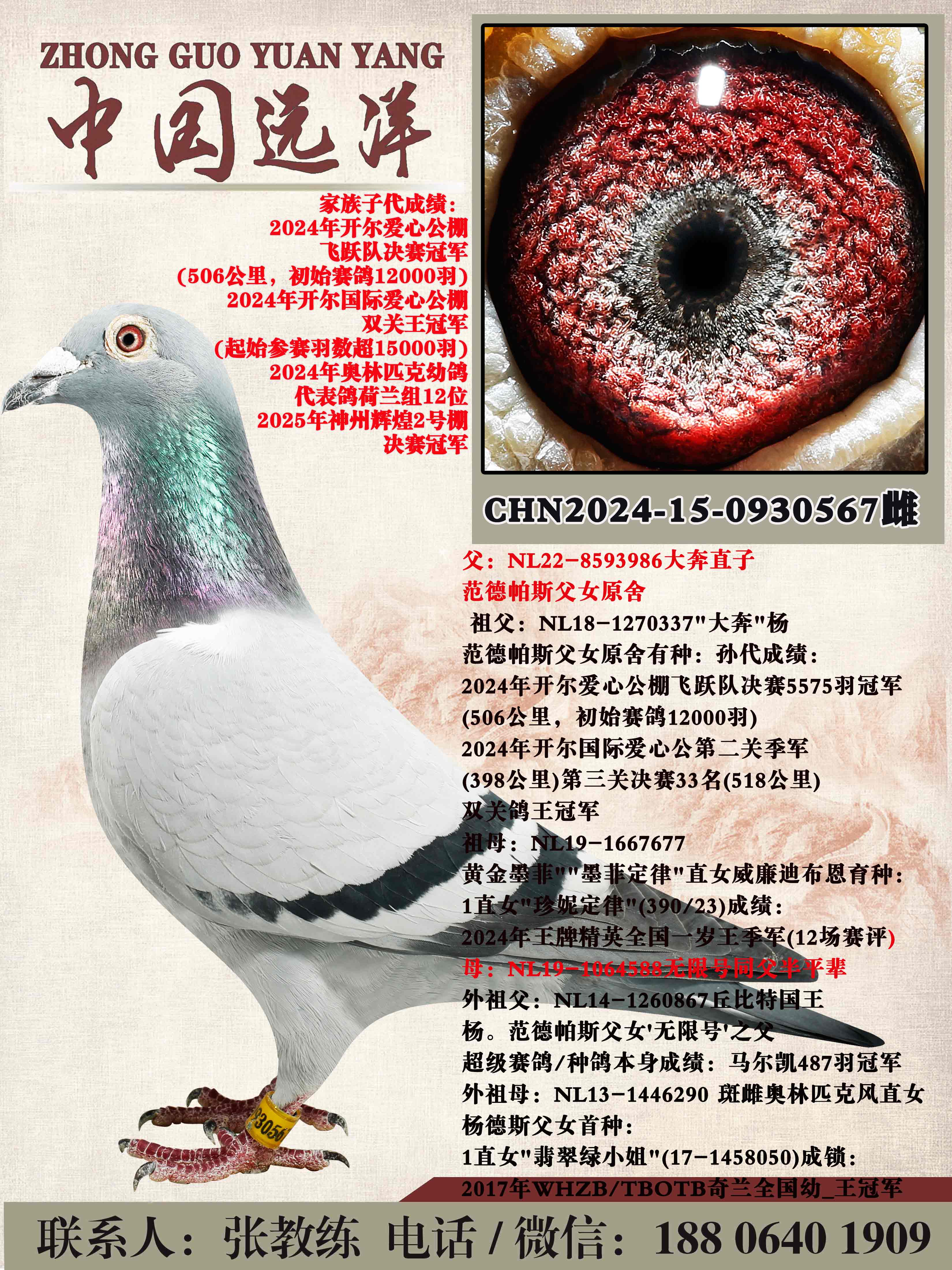 ��ֱ��x���޺Ű�ƽ��