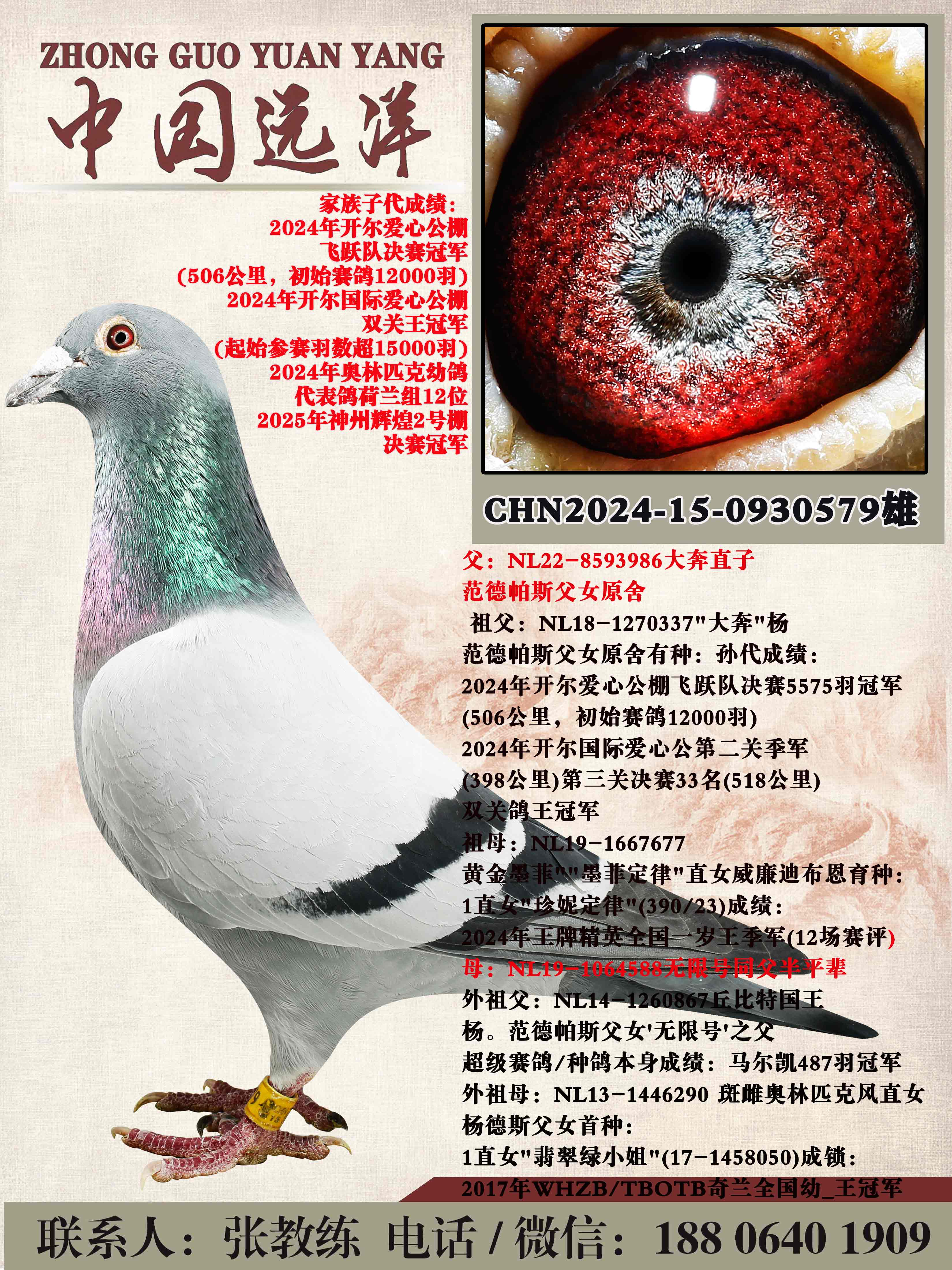 ��ֱ��x���޺Ű�ƽ��