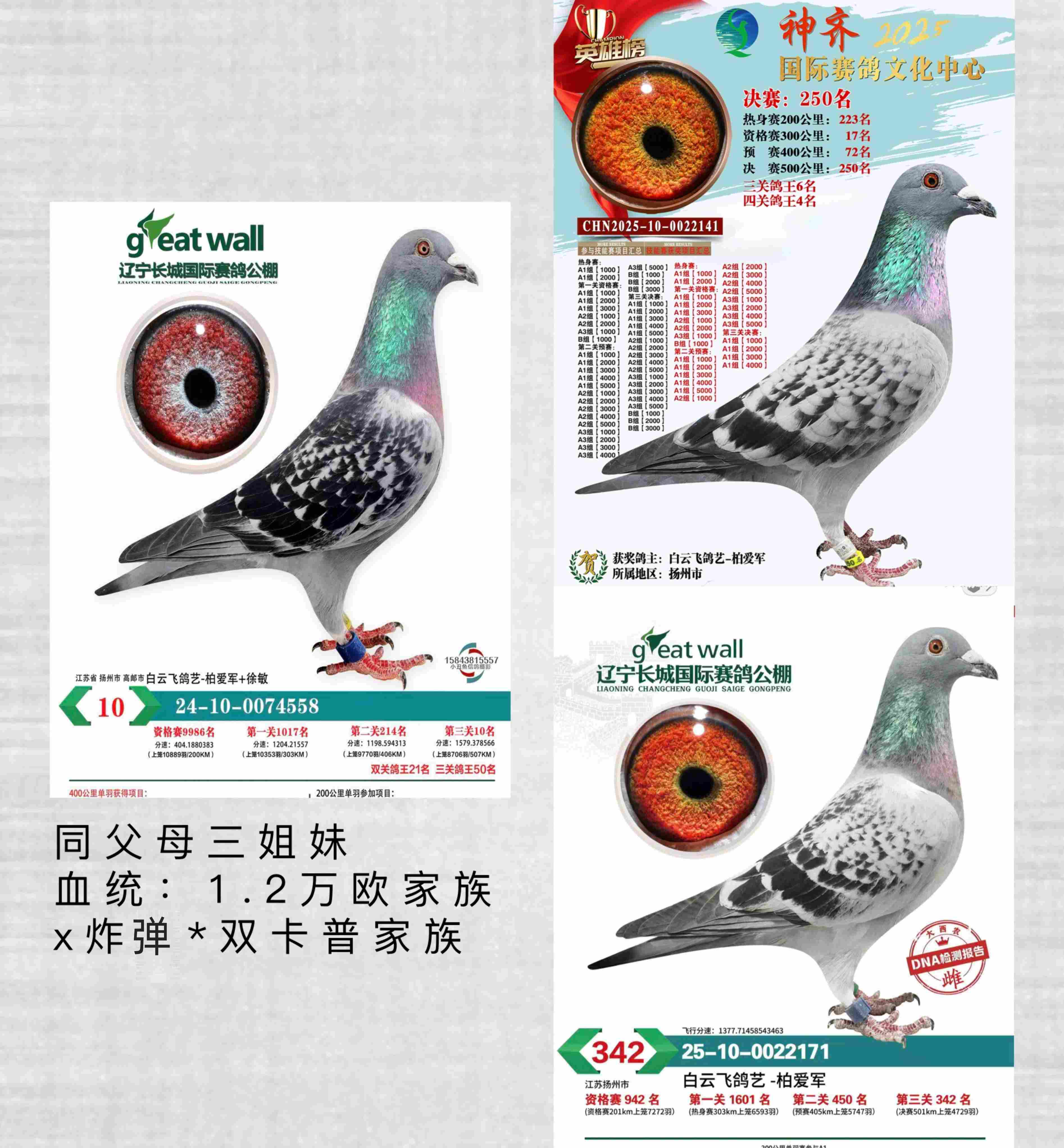 �¹�Ѫ1.2��ŷ����ը����˫���ռ��壩