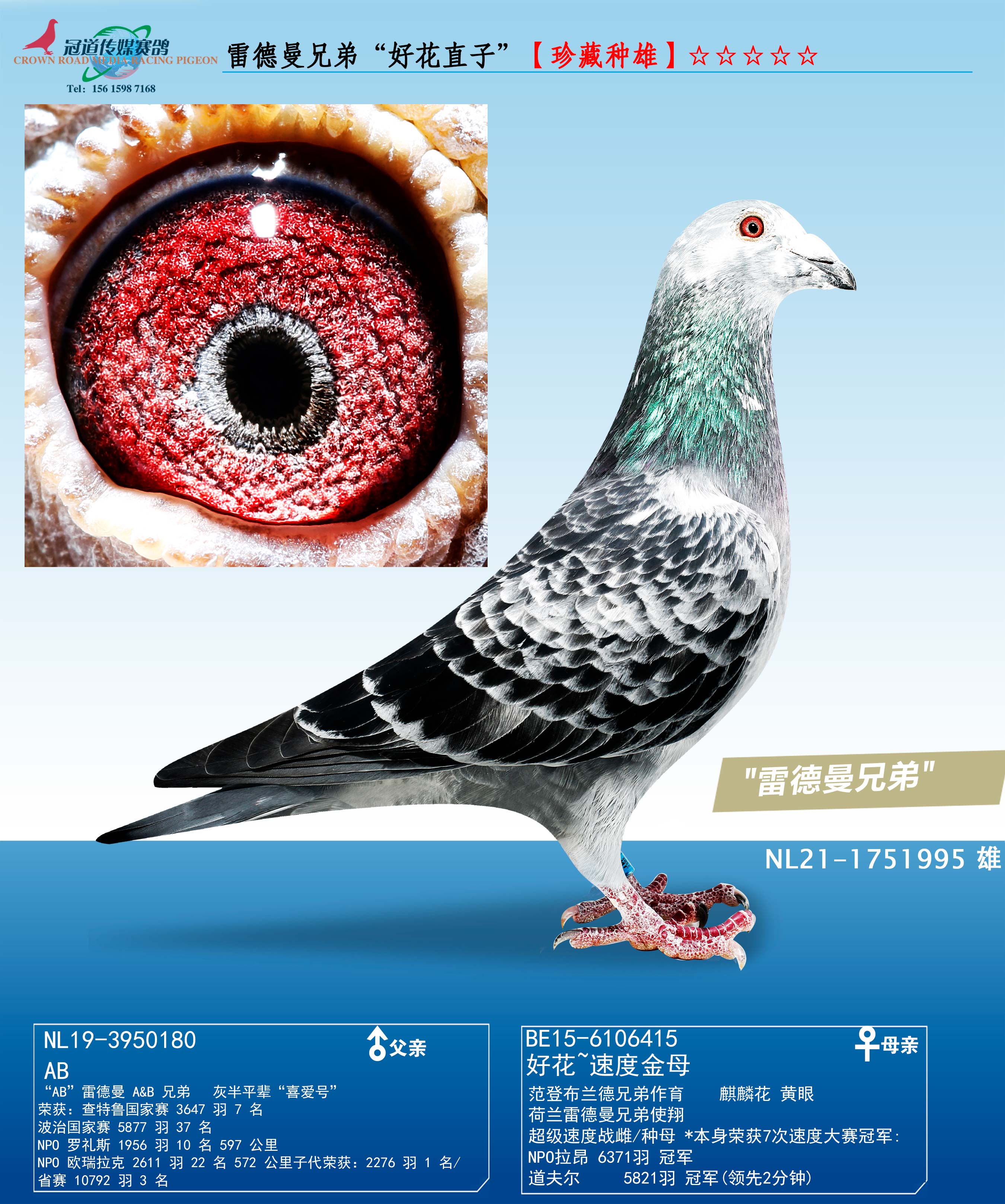 �׵����ֵܡ��û�ֱ�ӡ���������ۡ�