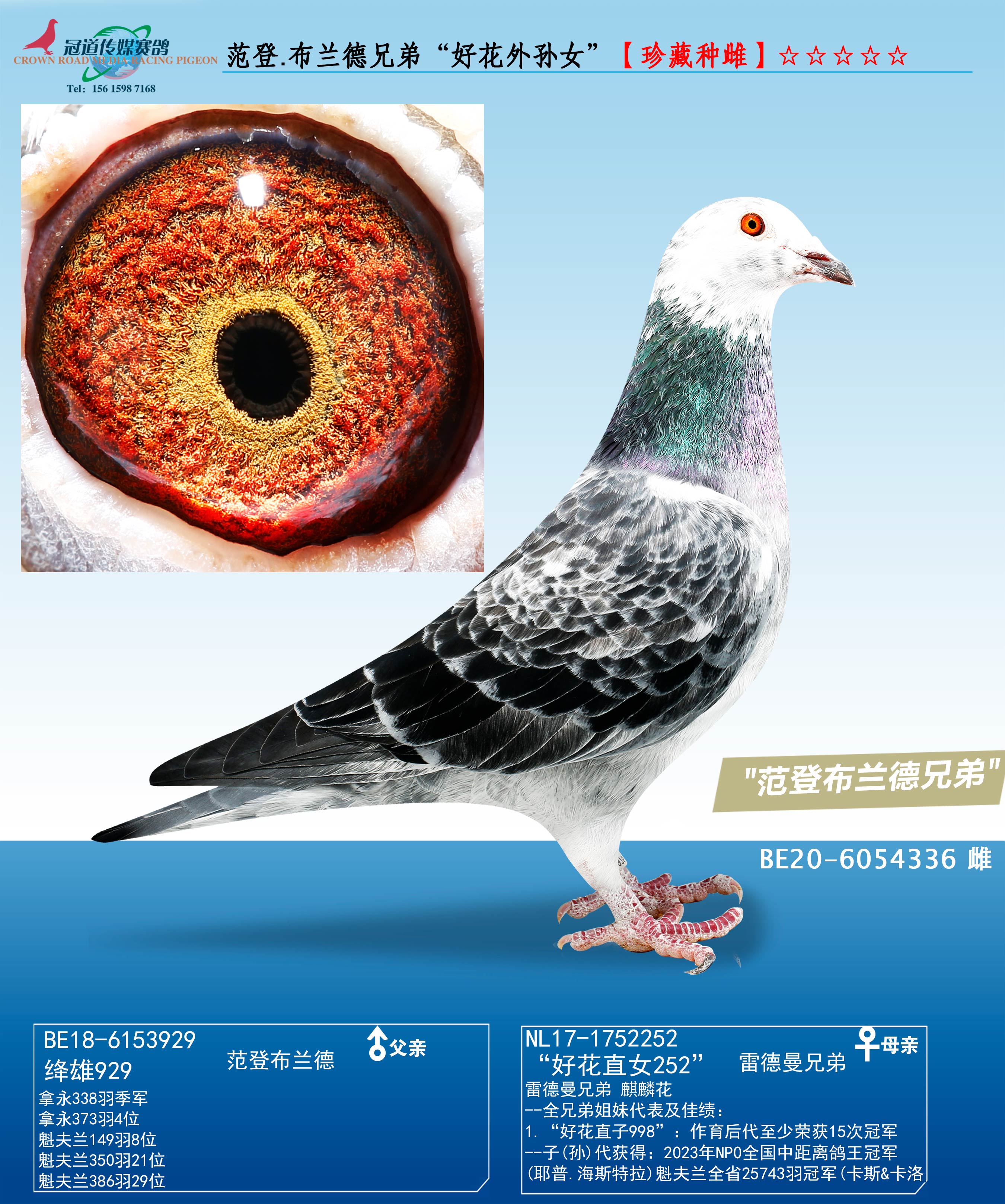 ����.�������ֵܡ��û�����Ů��