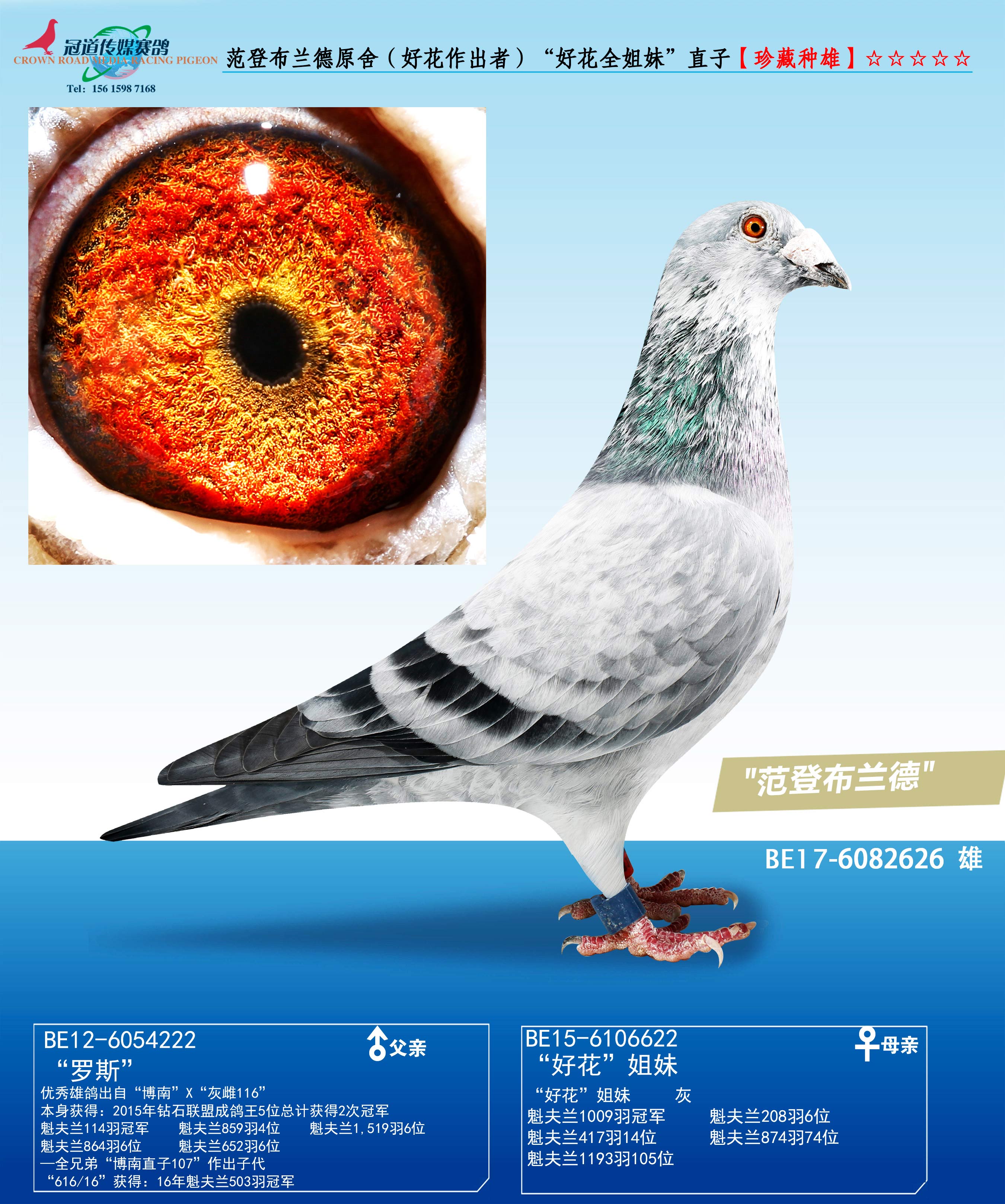 ���ǲ�����ԭ�ᣨ�û������ߣ����û�ȫ����