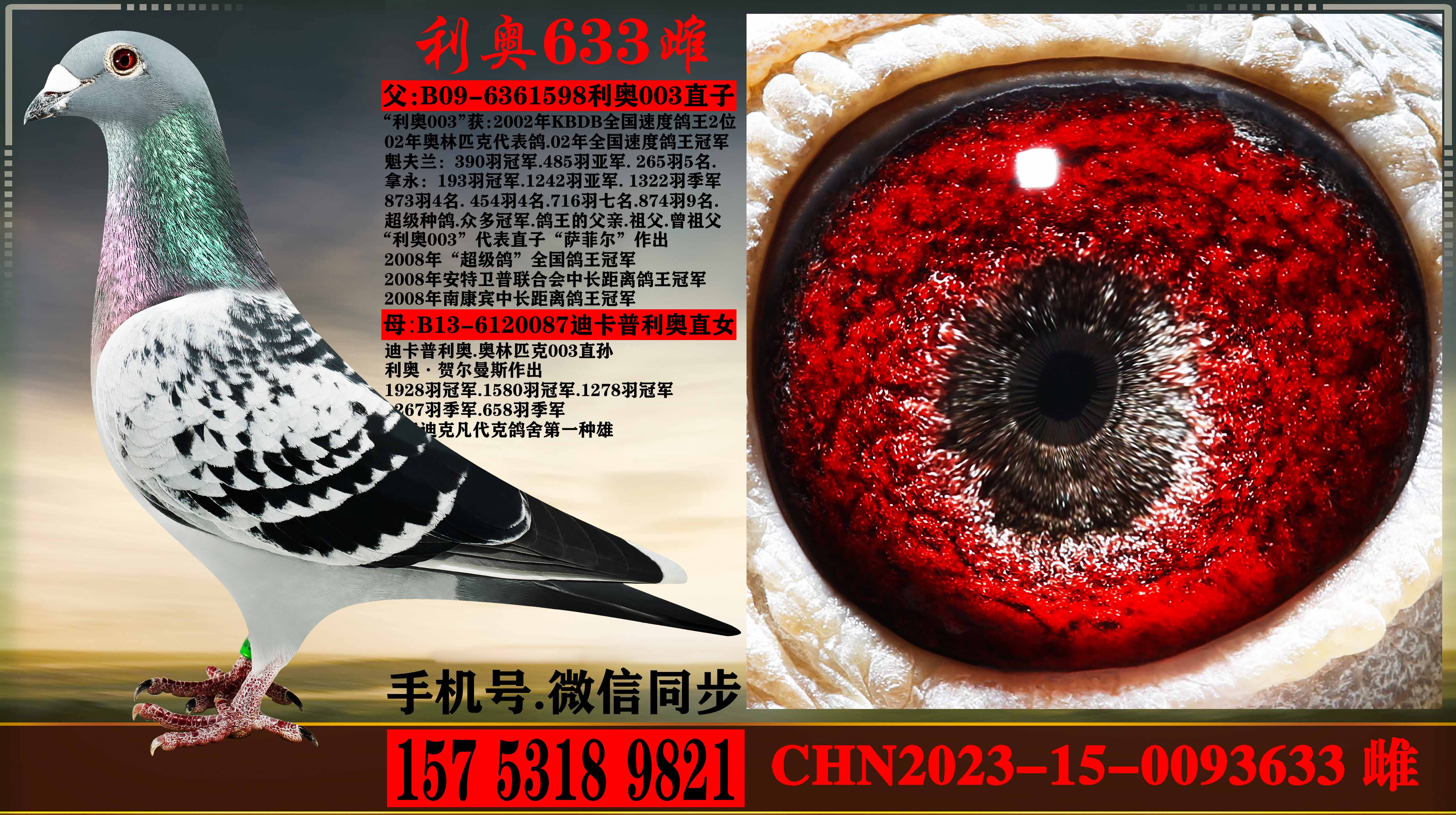 ����ƥ��003ֱ����Ͽ������ֱŮ