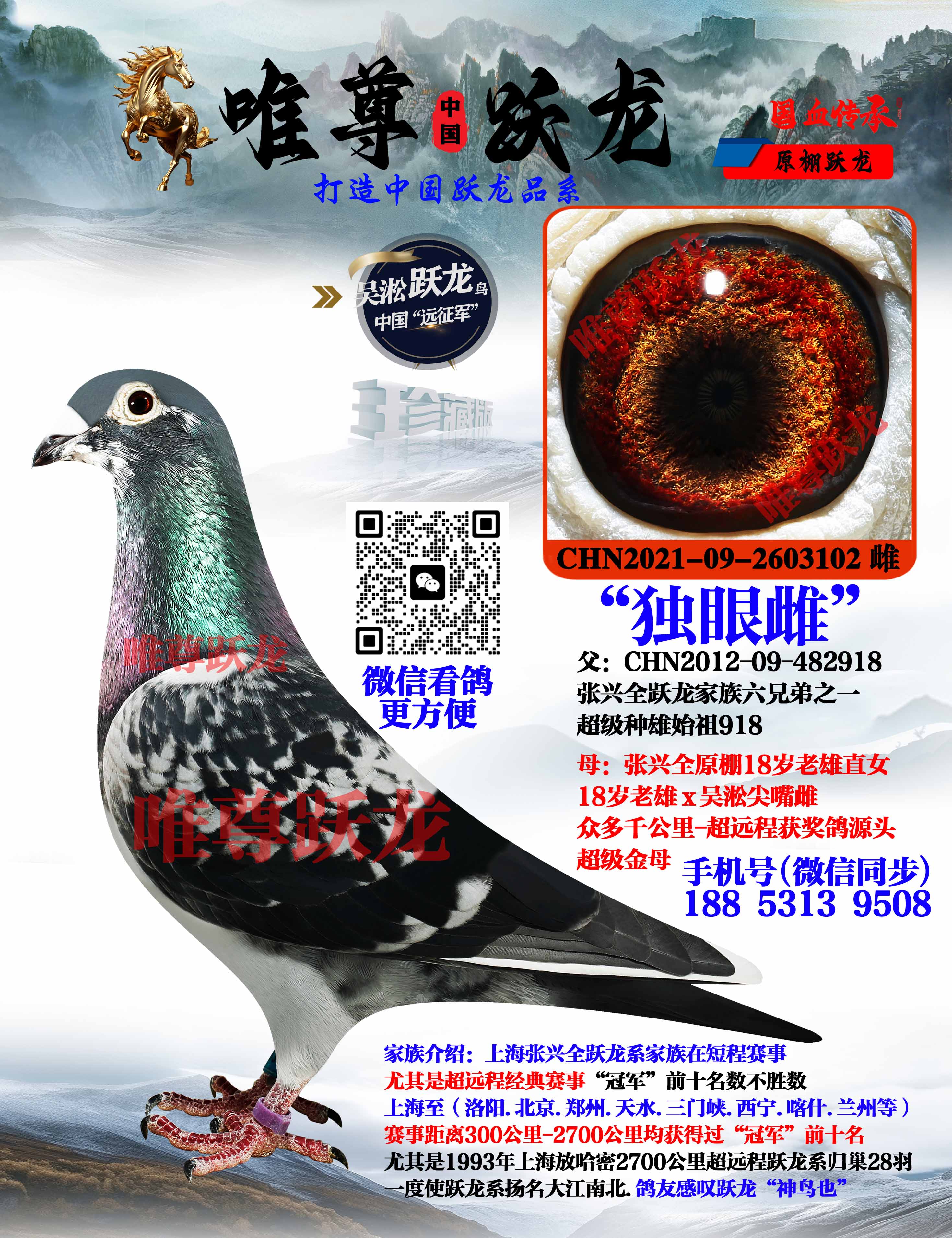 Ψ��Ծ������918����ֱŮ�����۴ơ�