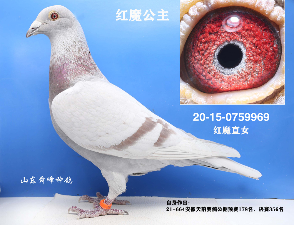 ��ħ����