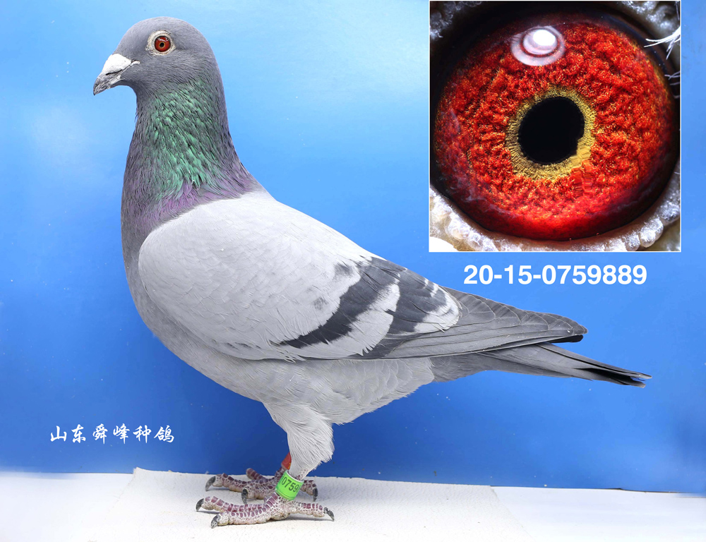 ����С��