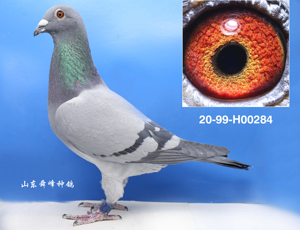 �ٸ�԰11��֮ĸ