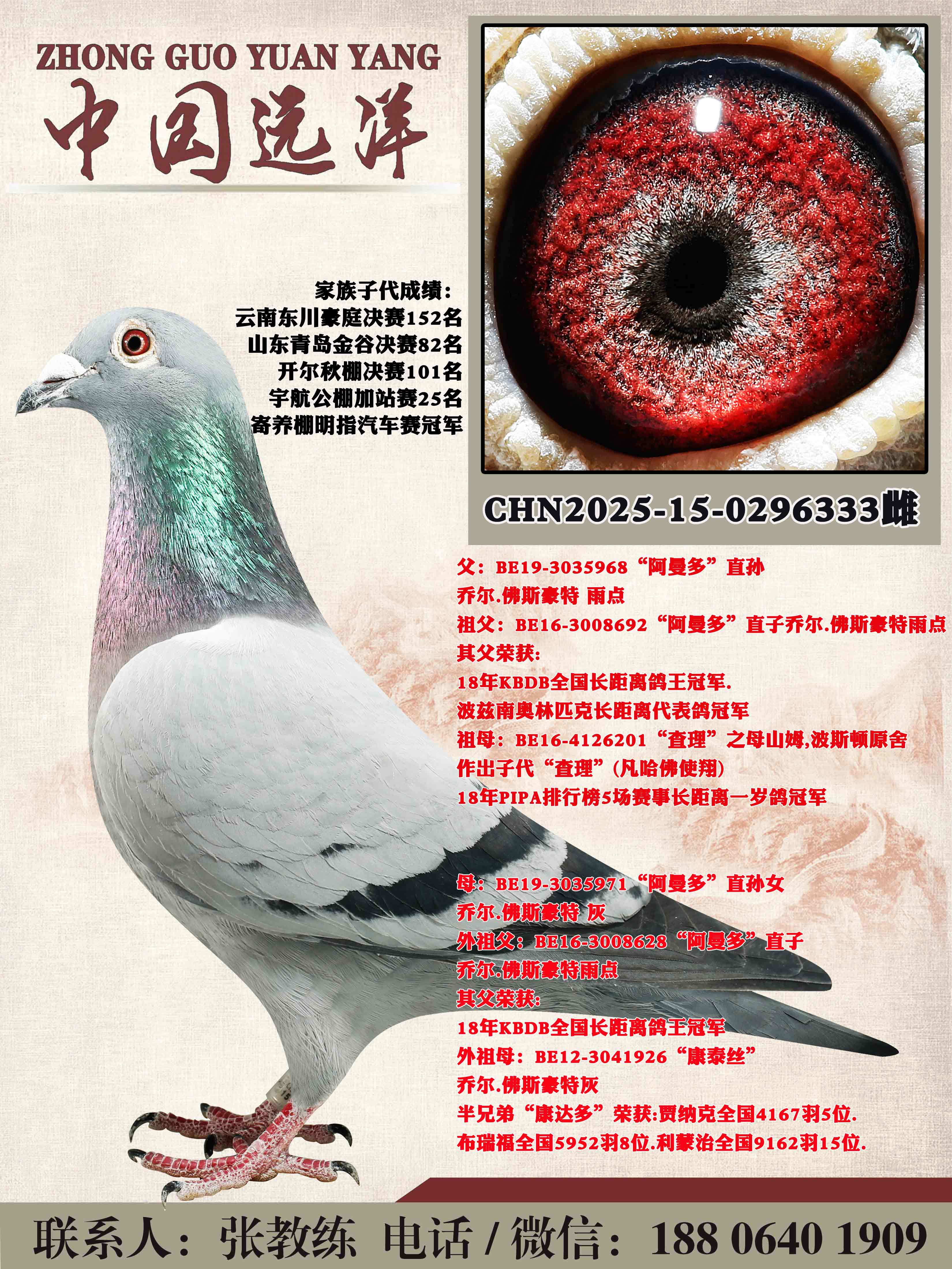 ������ֱ��x������ֱ��Ů