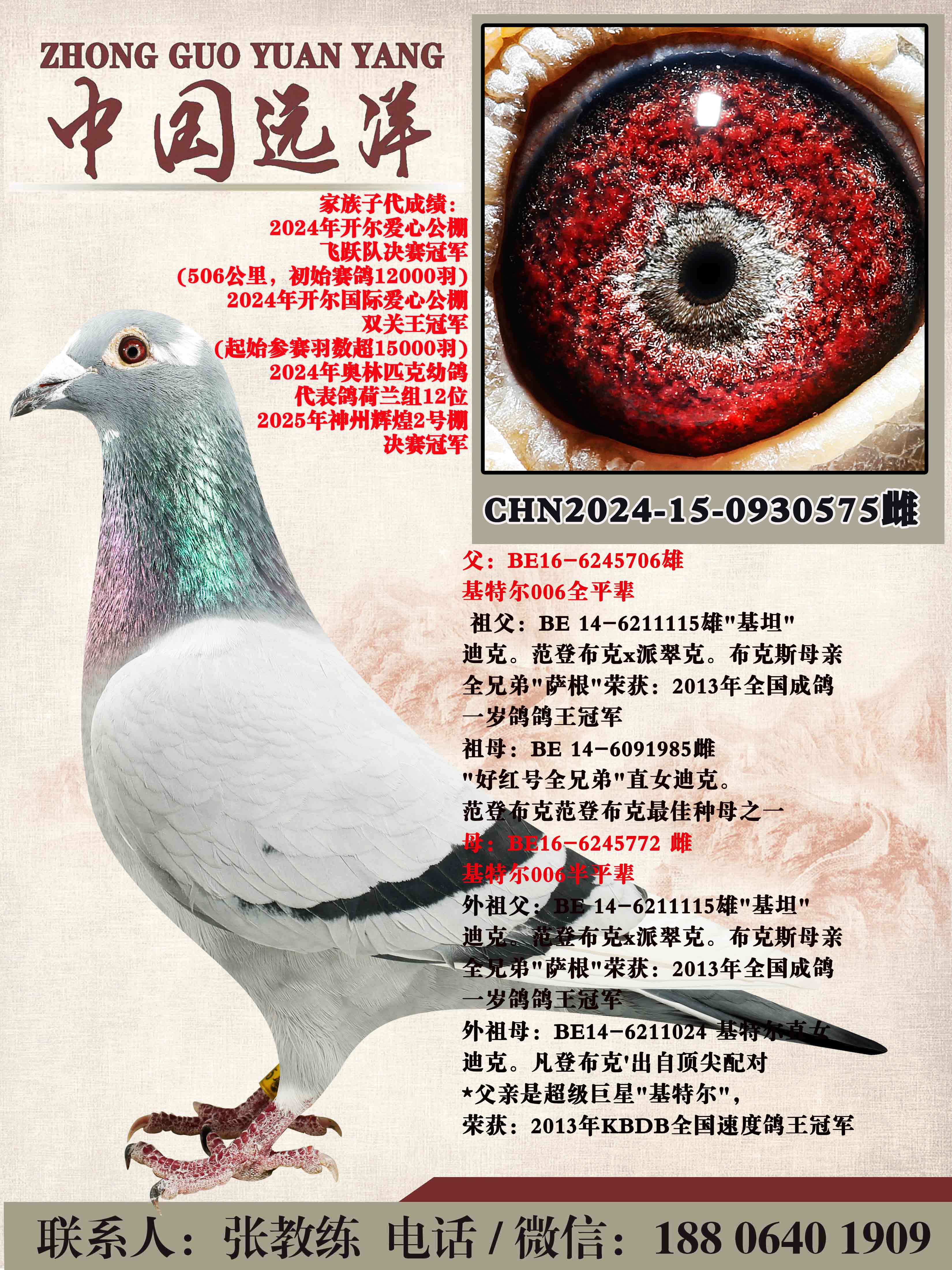 ���ض�006ȫƽ������