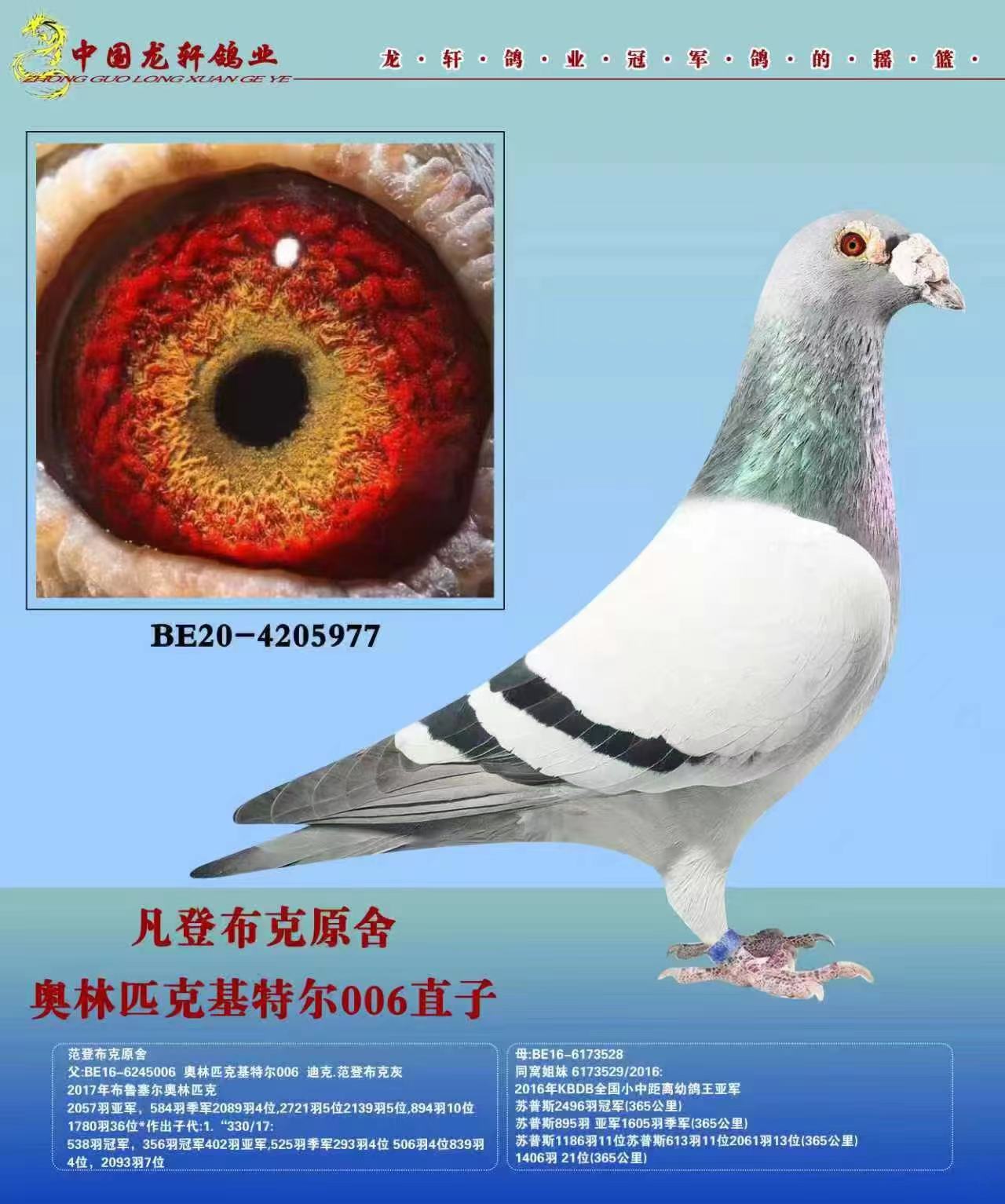 ���ǲ��˰���ƥ�˻��ض�006ֱ��
