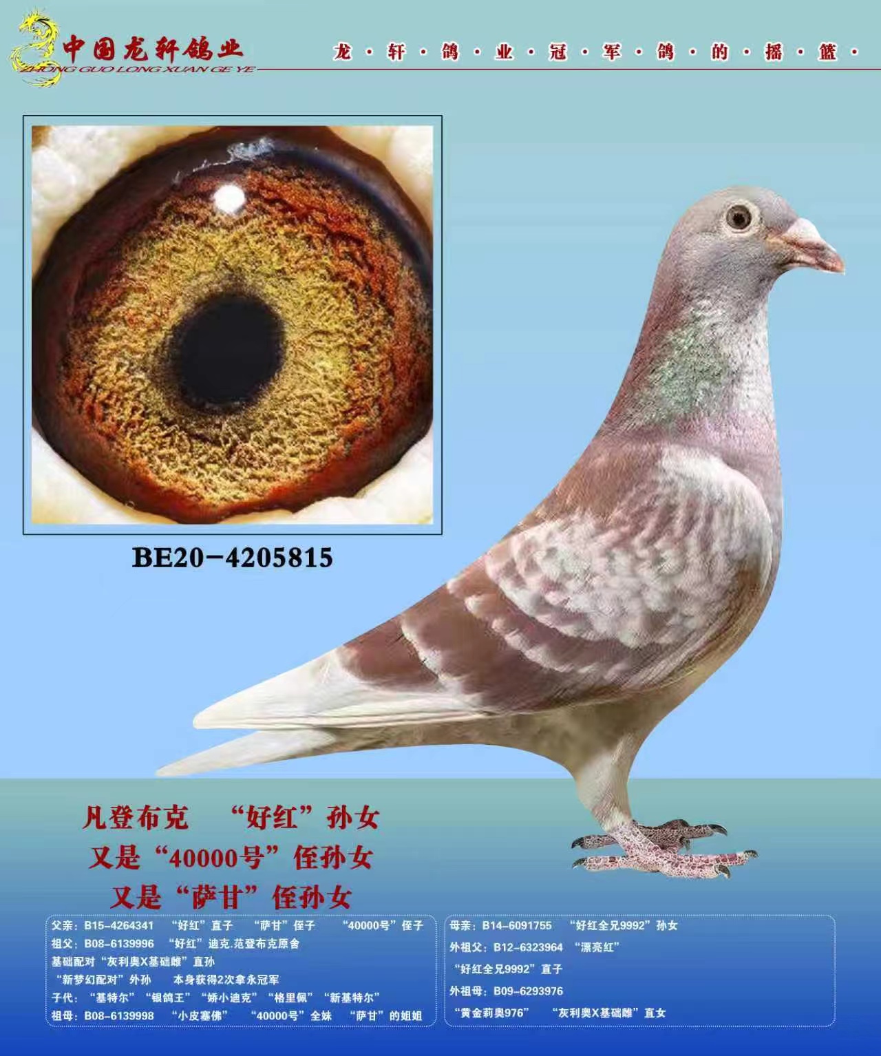 �������ǲ��˻��ض�����