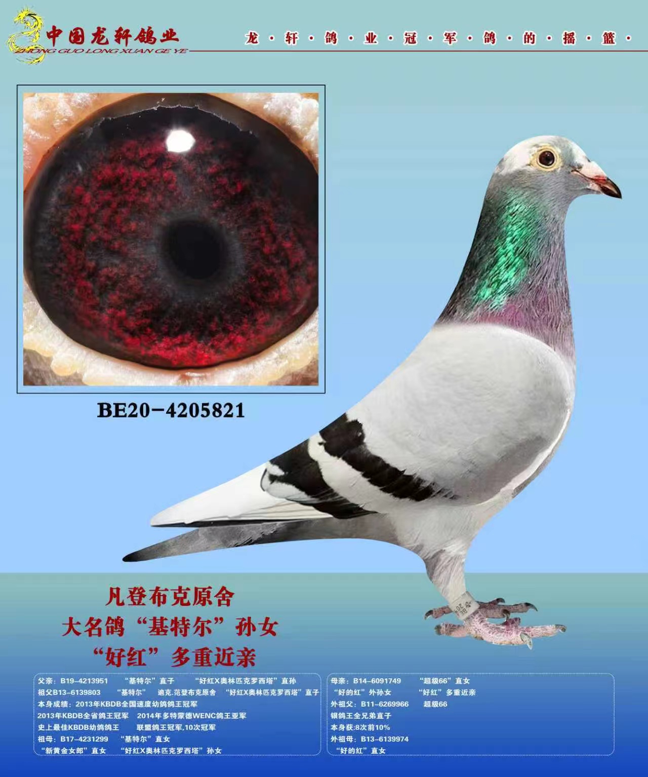 �������ǲ��˻��ض�����
