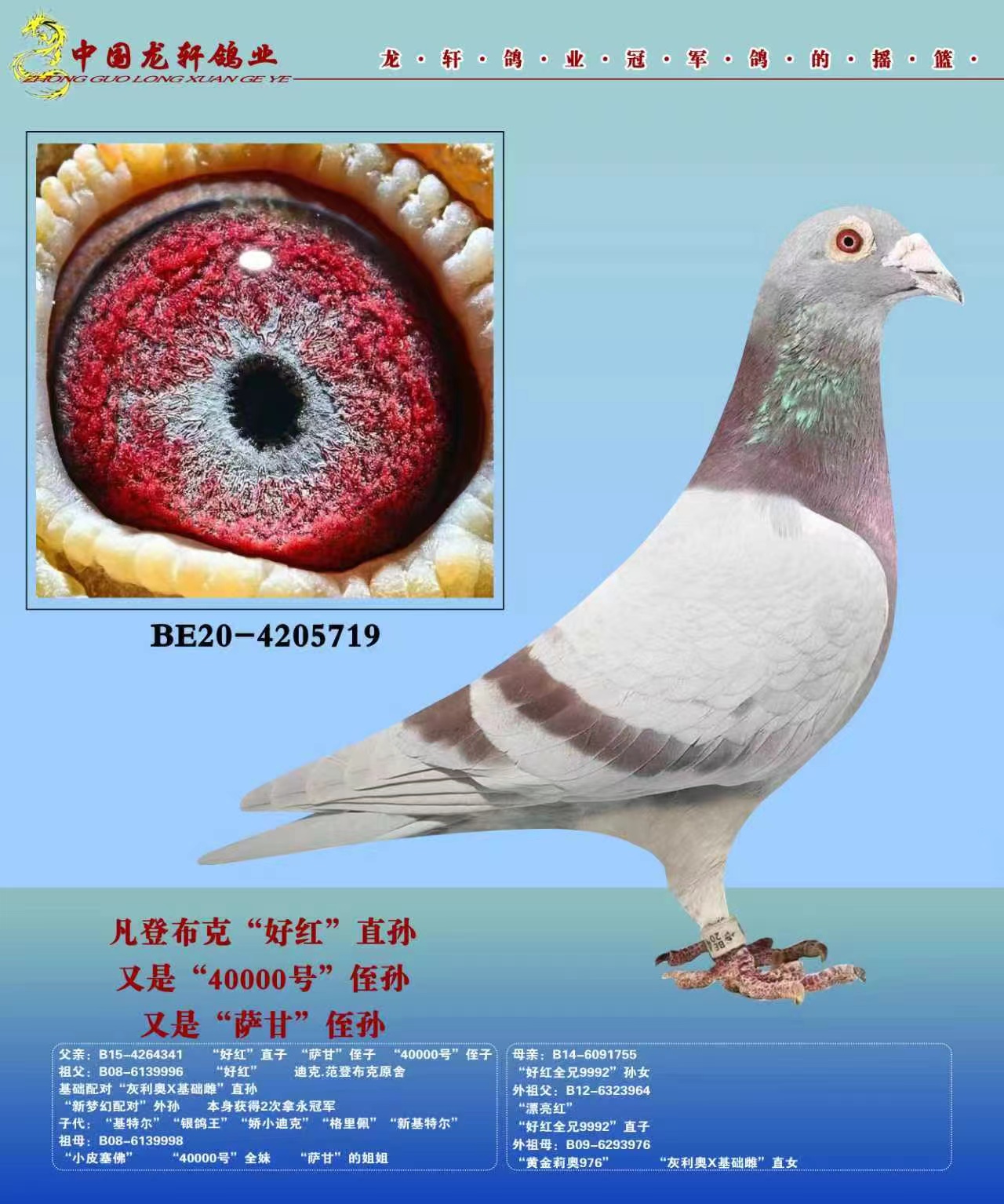 �������ǲ��˻��ض�����