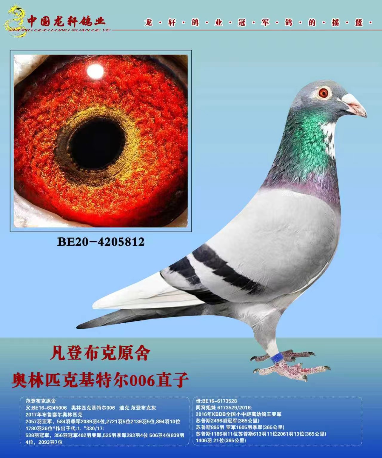 �������ǲ��˻��ض�����