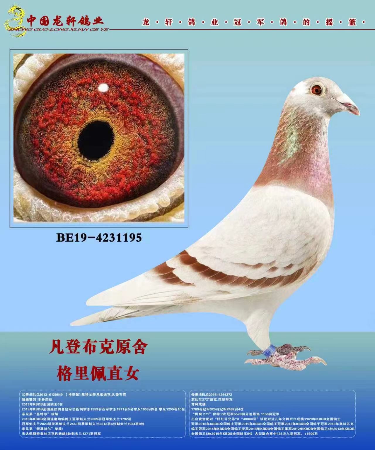 ���ǲ��ˡ������塱ֱŮ