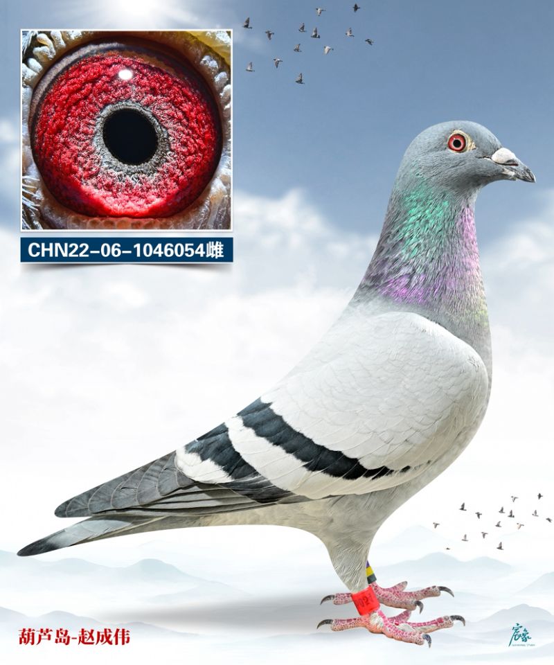 ���۷���007ֱŮ