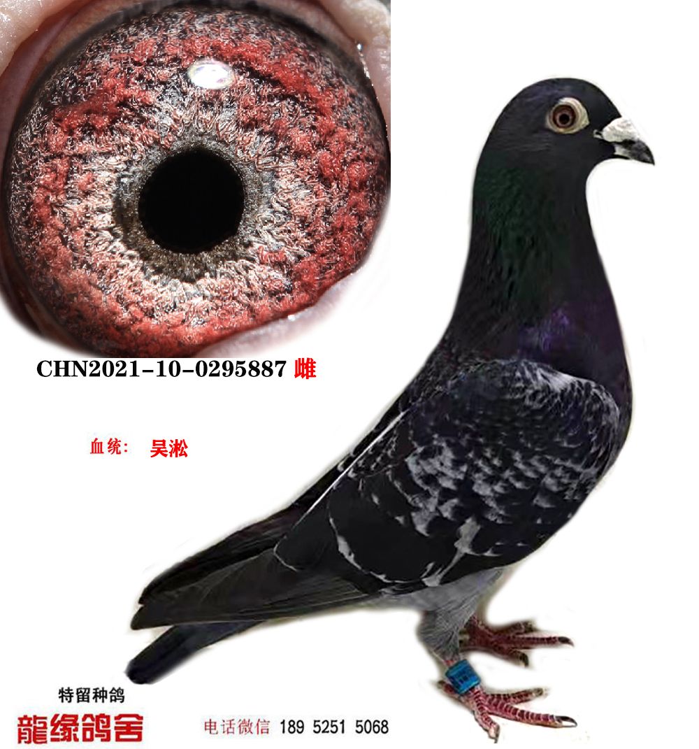 23f7fe9cedcdf0457e63f7dbb89752f4