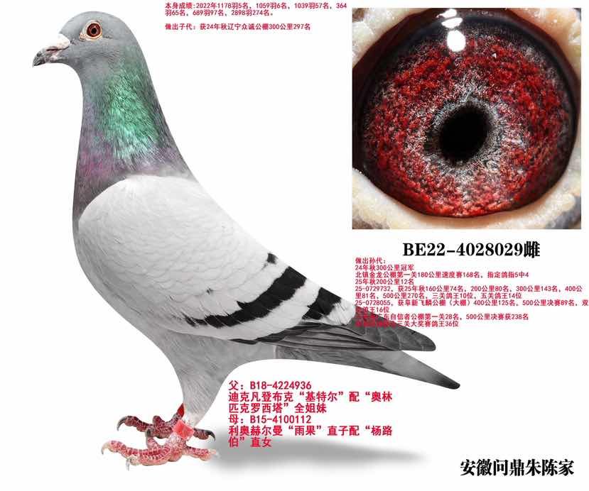 基特尔孙女金母029