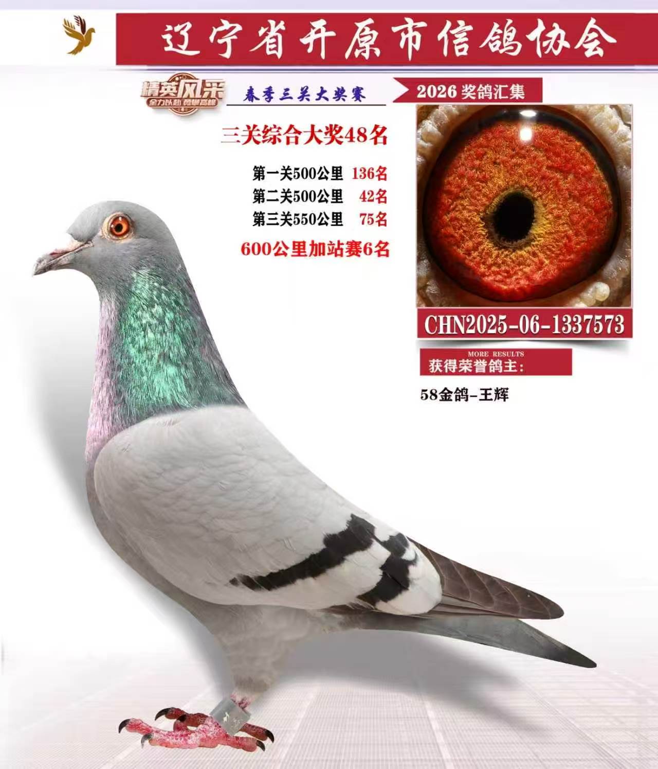 �ɸ����*����48�� 600����6��