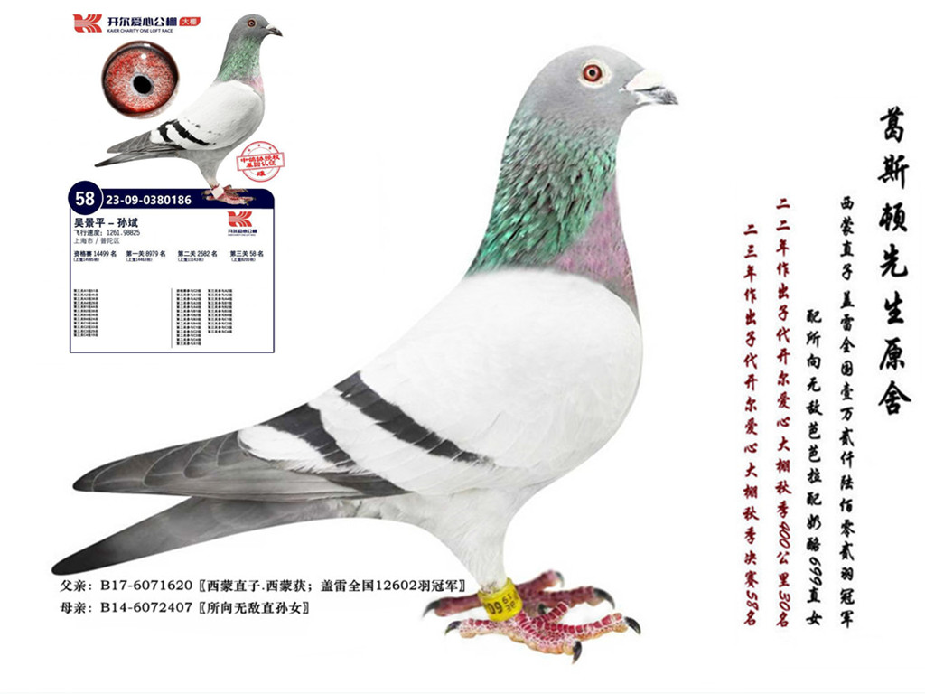 原舍“所向无敌外孙”