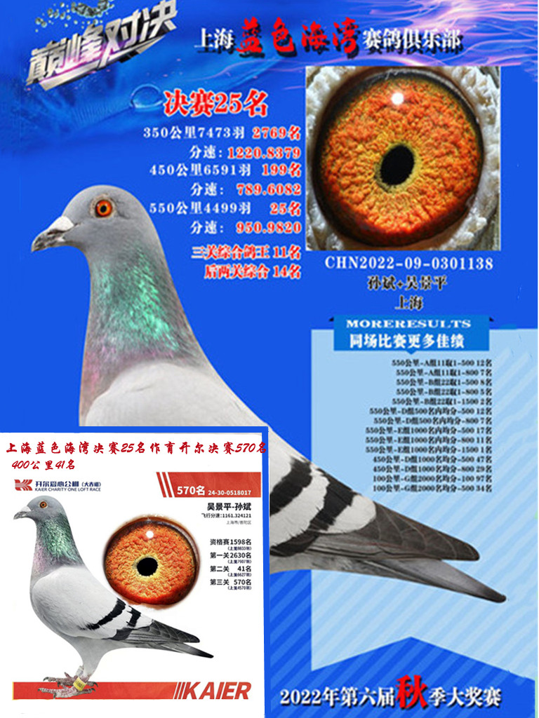新金姆表姐妹“直孙”