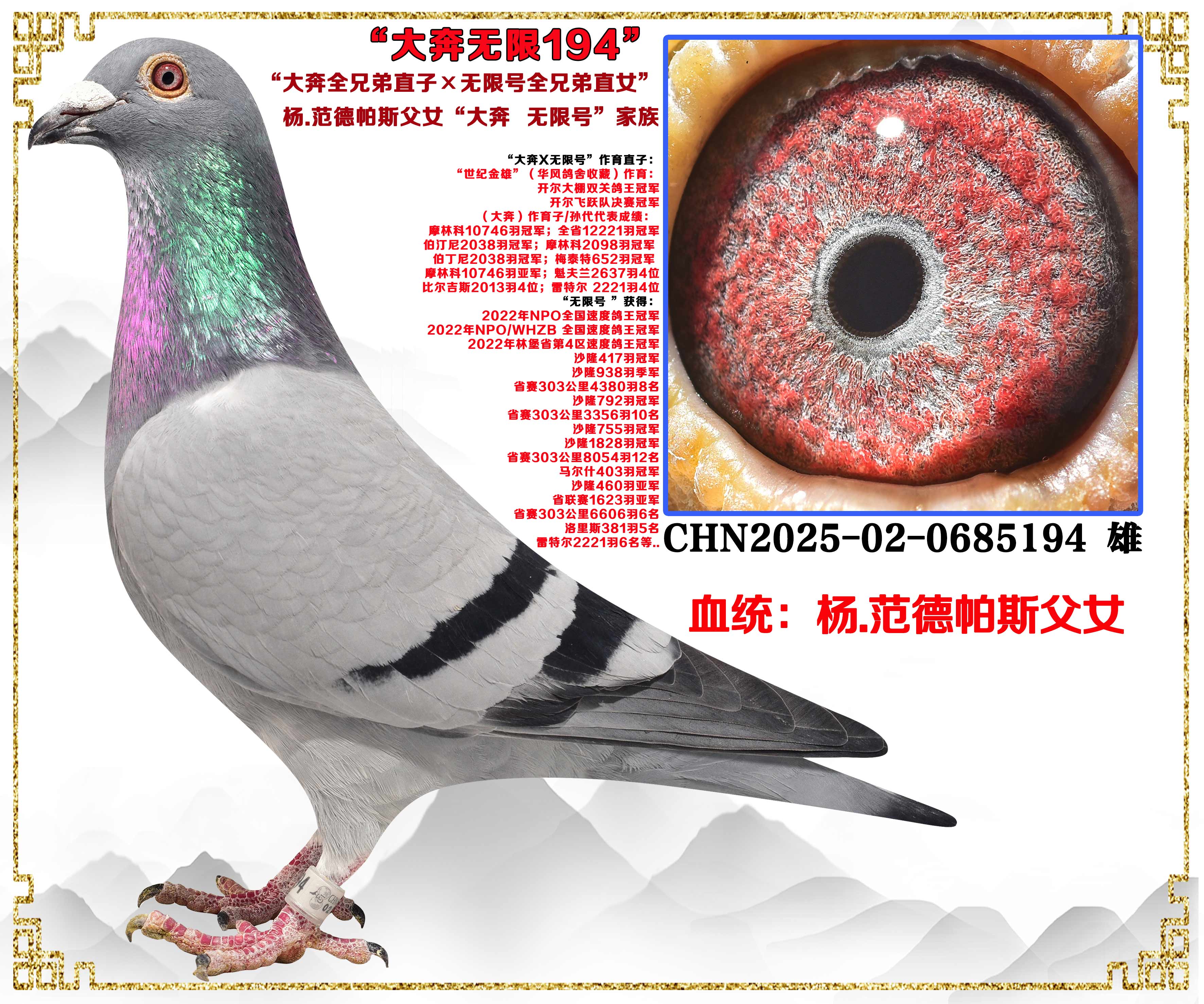 正在火热拍卖中