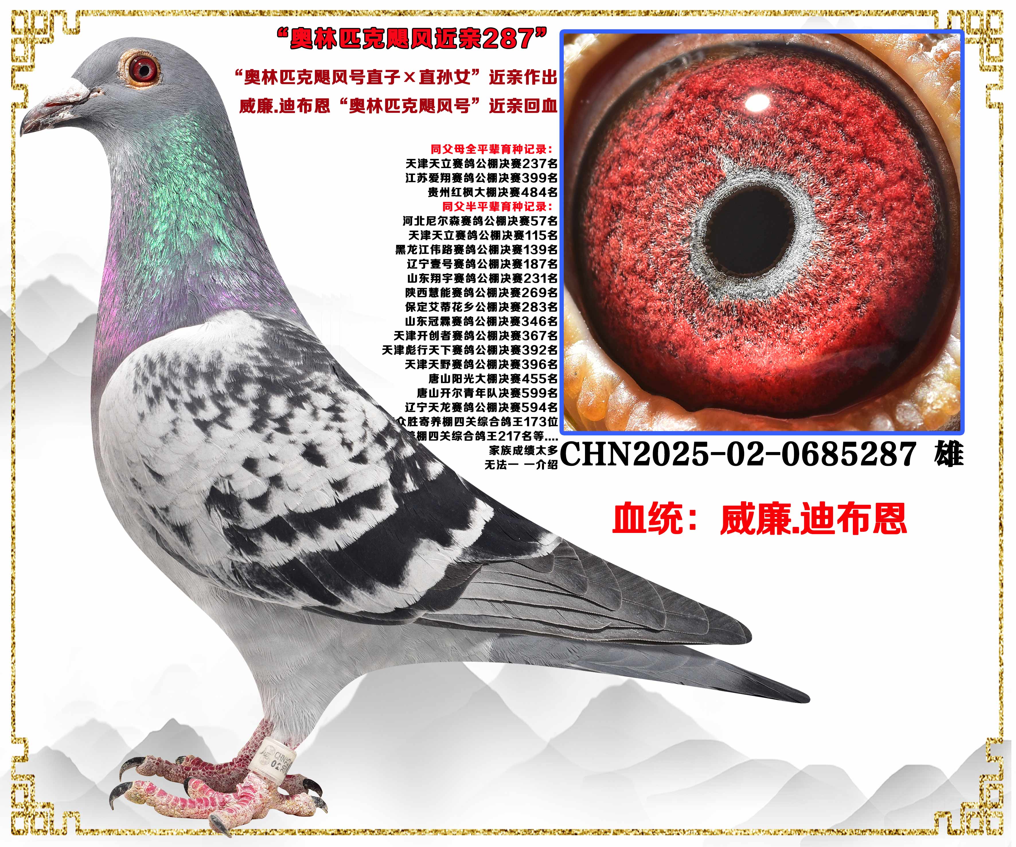 火热竞拍中...