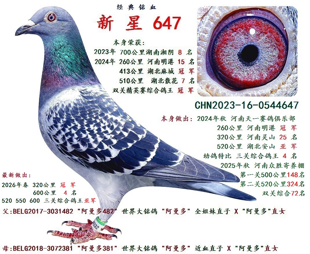 2024�괺 ˫���ۺϸ��� �� ��